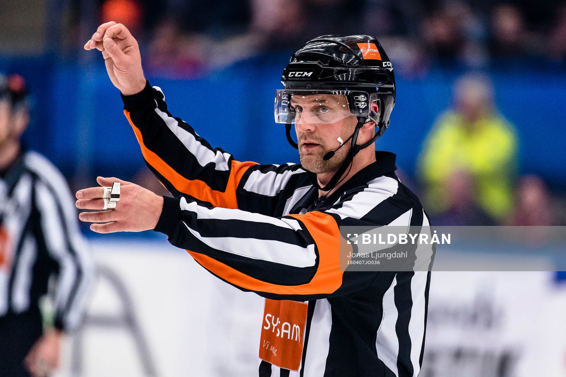 Domare Mikael Nord