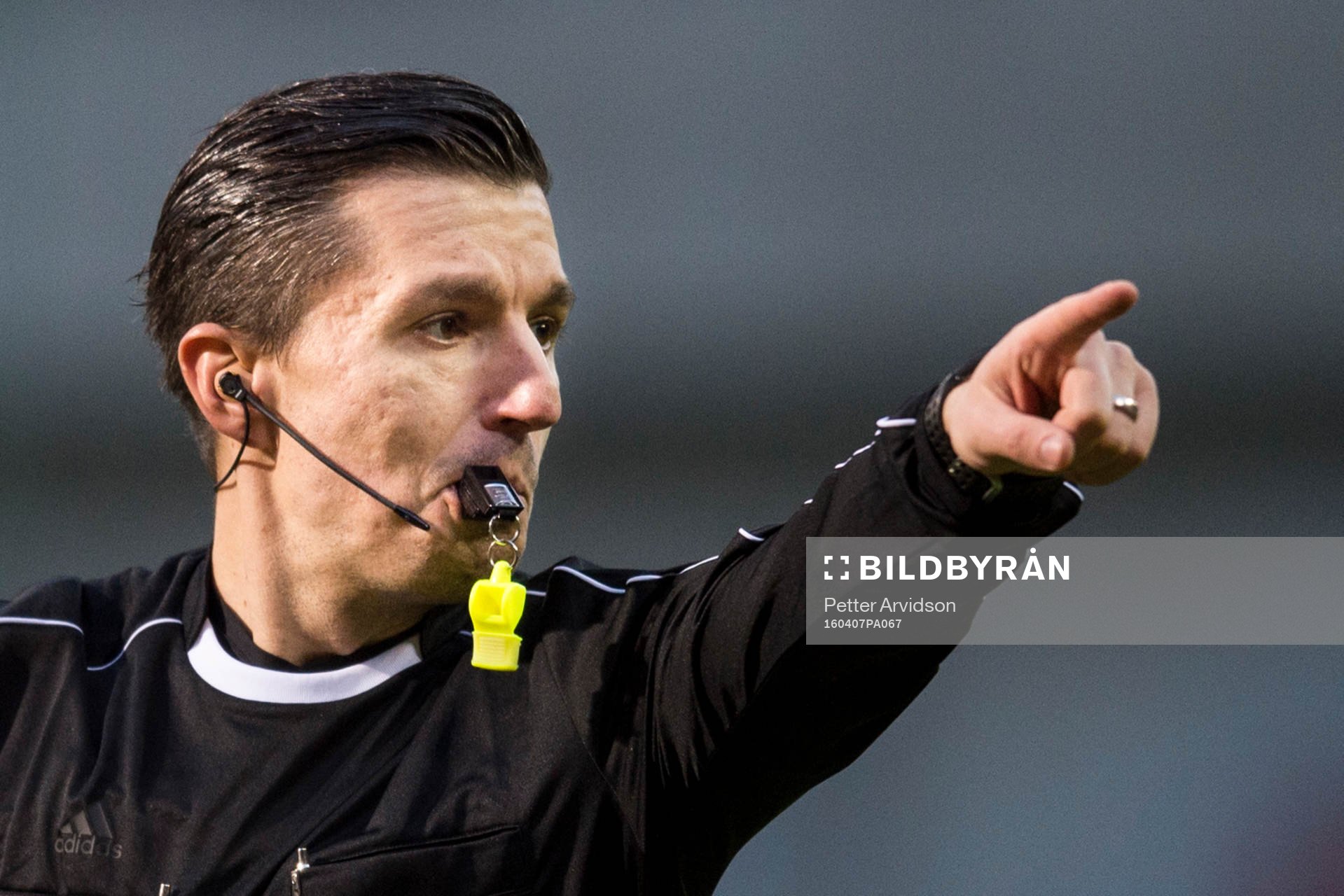 Domare Bojan Pandzic