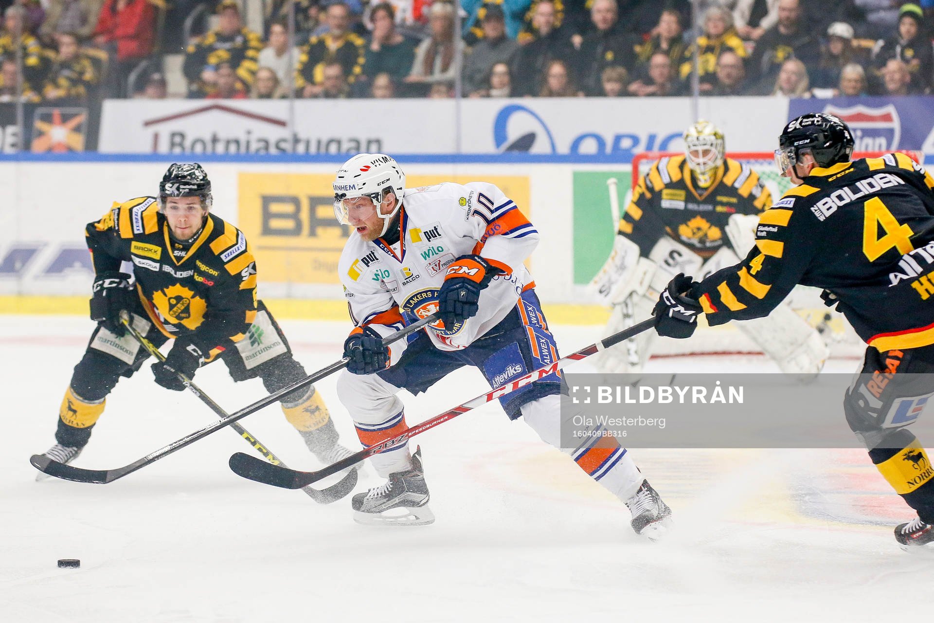 Skellefteås Tim Heed och Arvid Lundberg