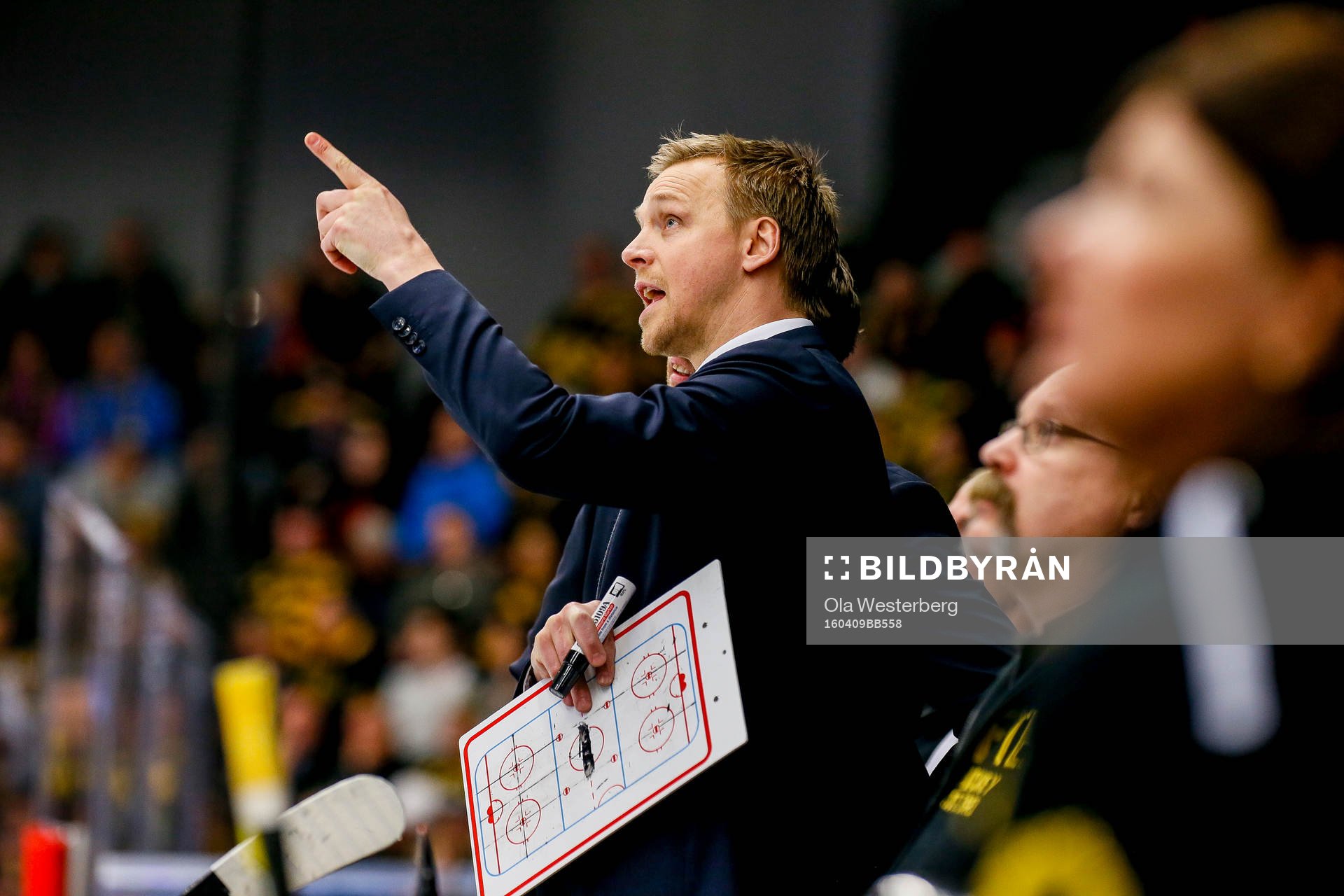 Skellefteås assisterande tränare Bert Robertsson