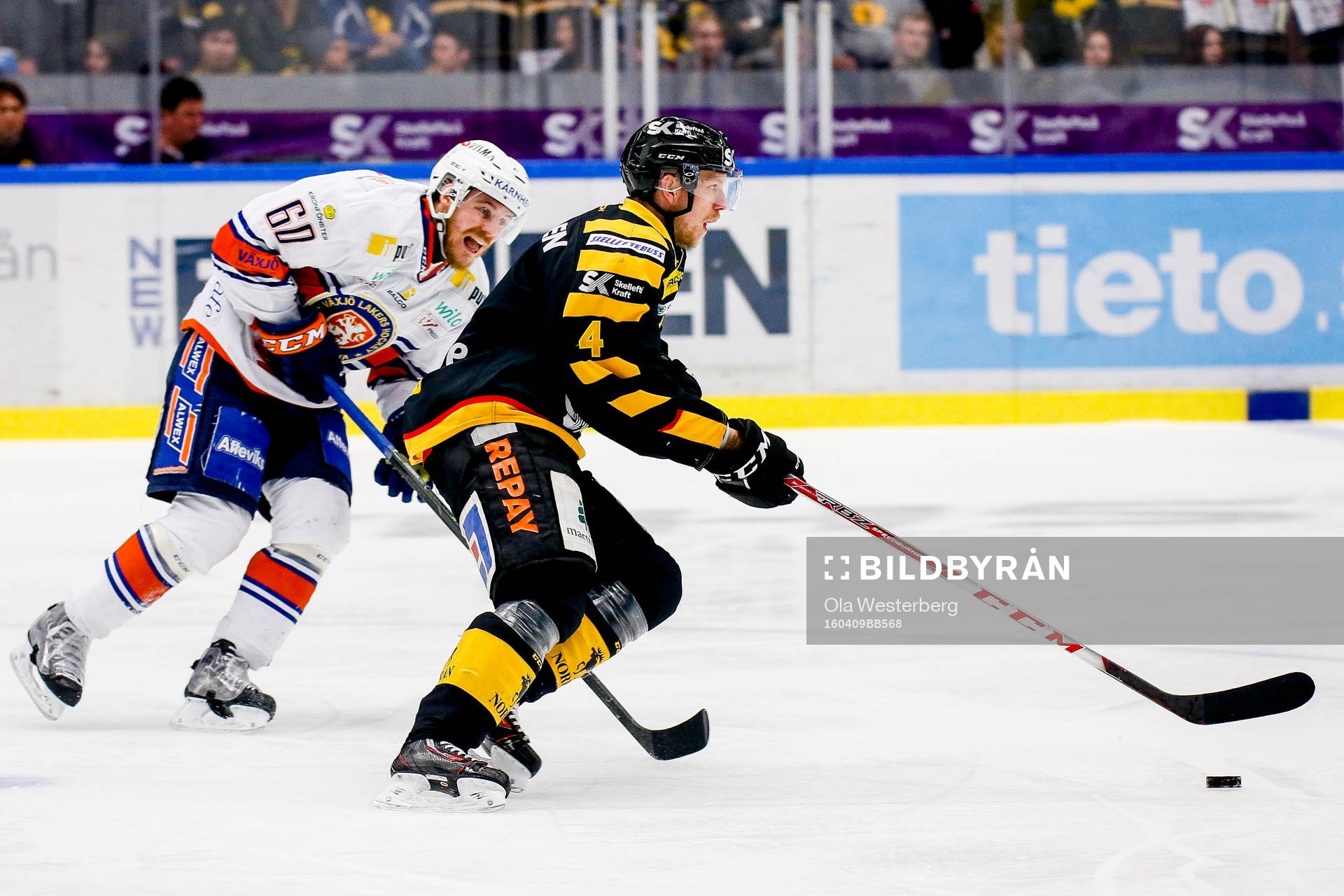 Skellefteås Tim Heed