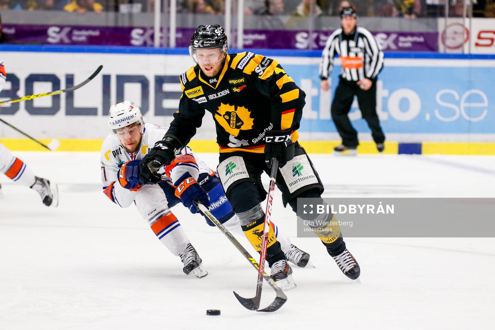 Skellefteås Tim Heed