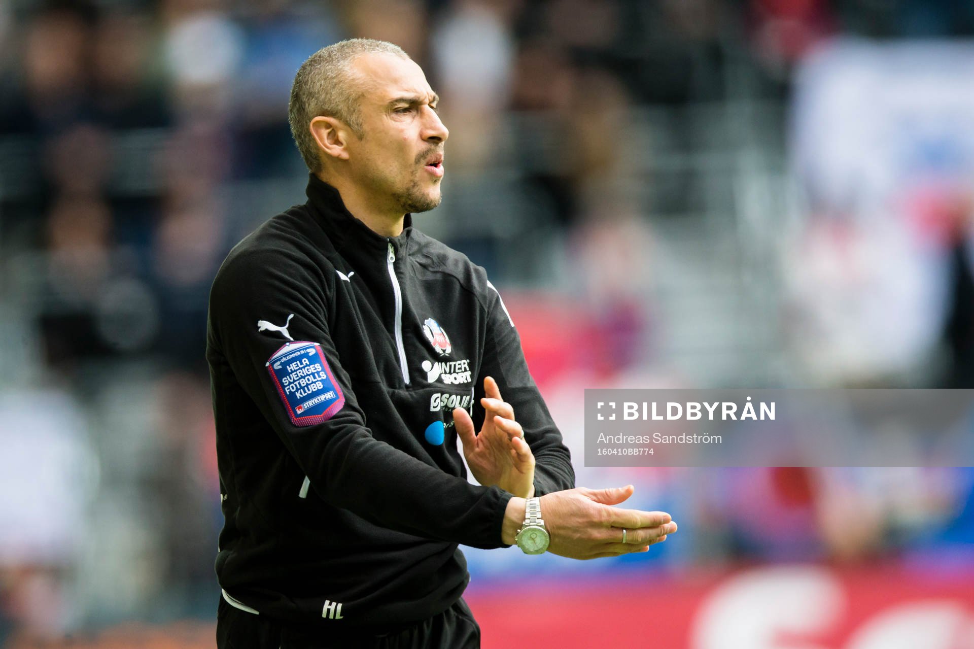 Helsingborgs manager Henrik Larsson