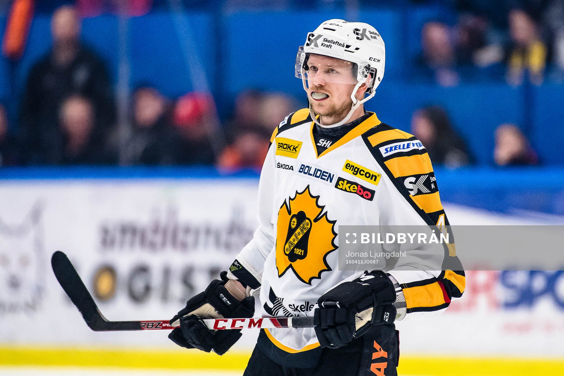 Skellefteås Tim Heed