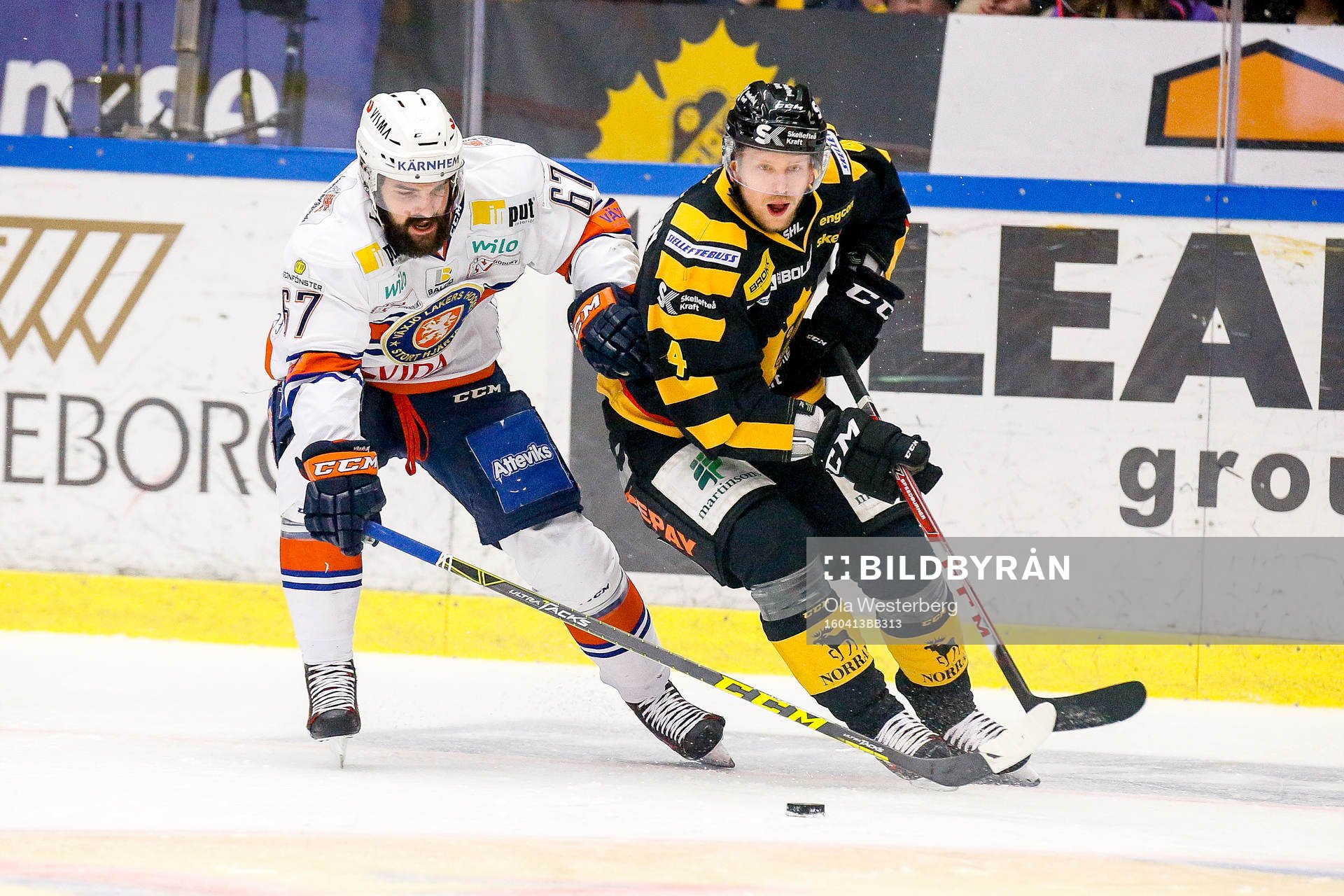 Skellefteås Tim Heed