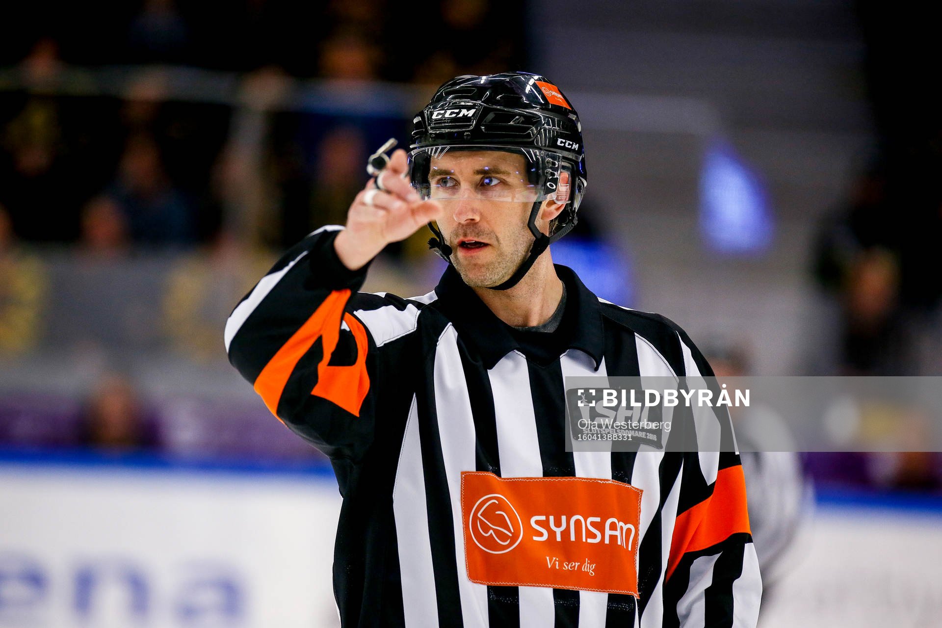 Domaren Tobias Björk