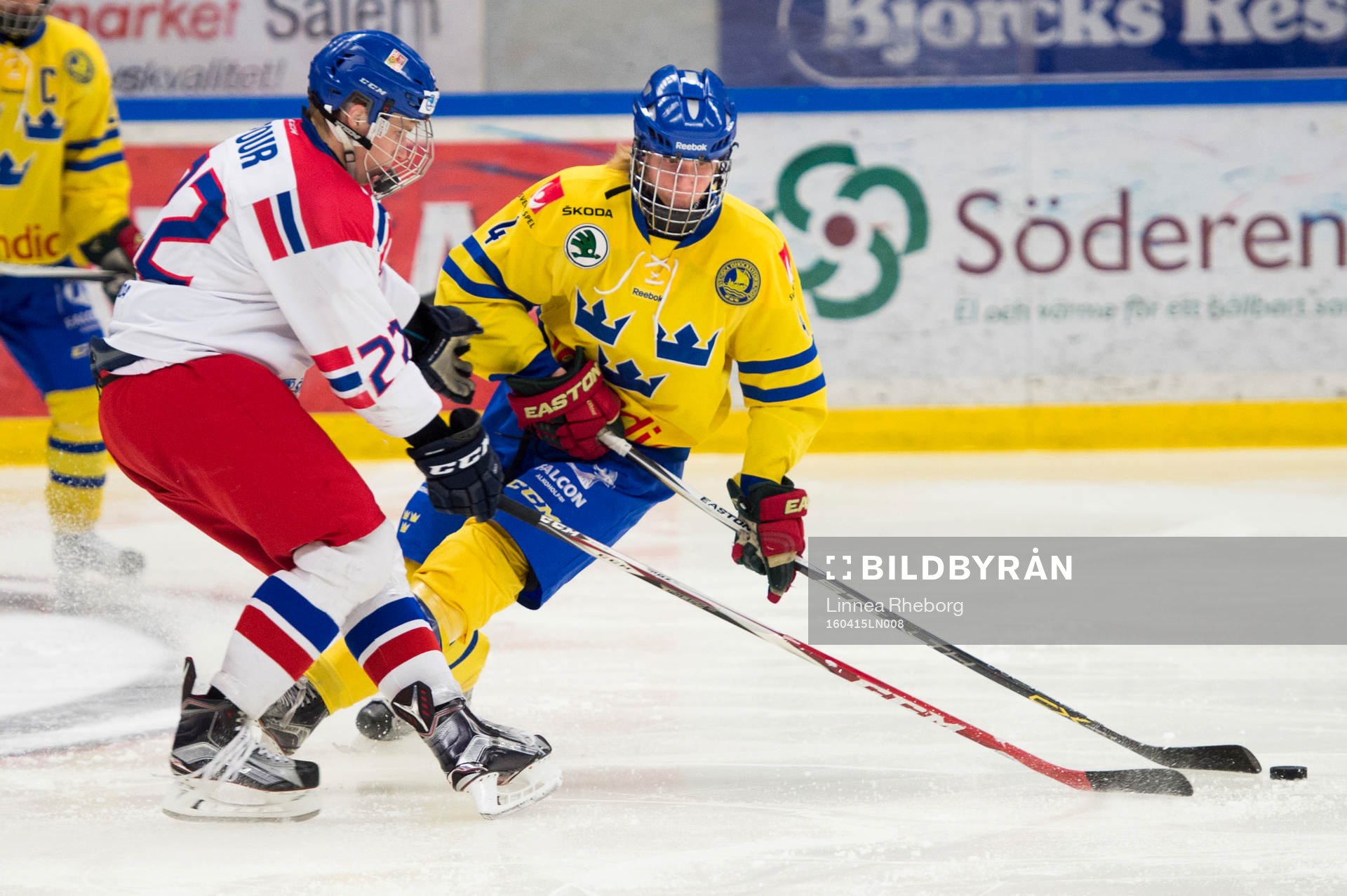 Sveriges Rasmus Dahlin och Tjeckiens Jakub Pour