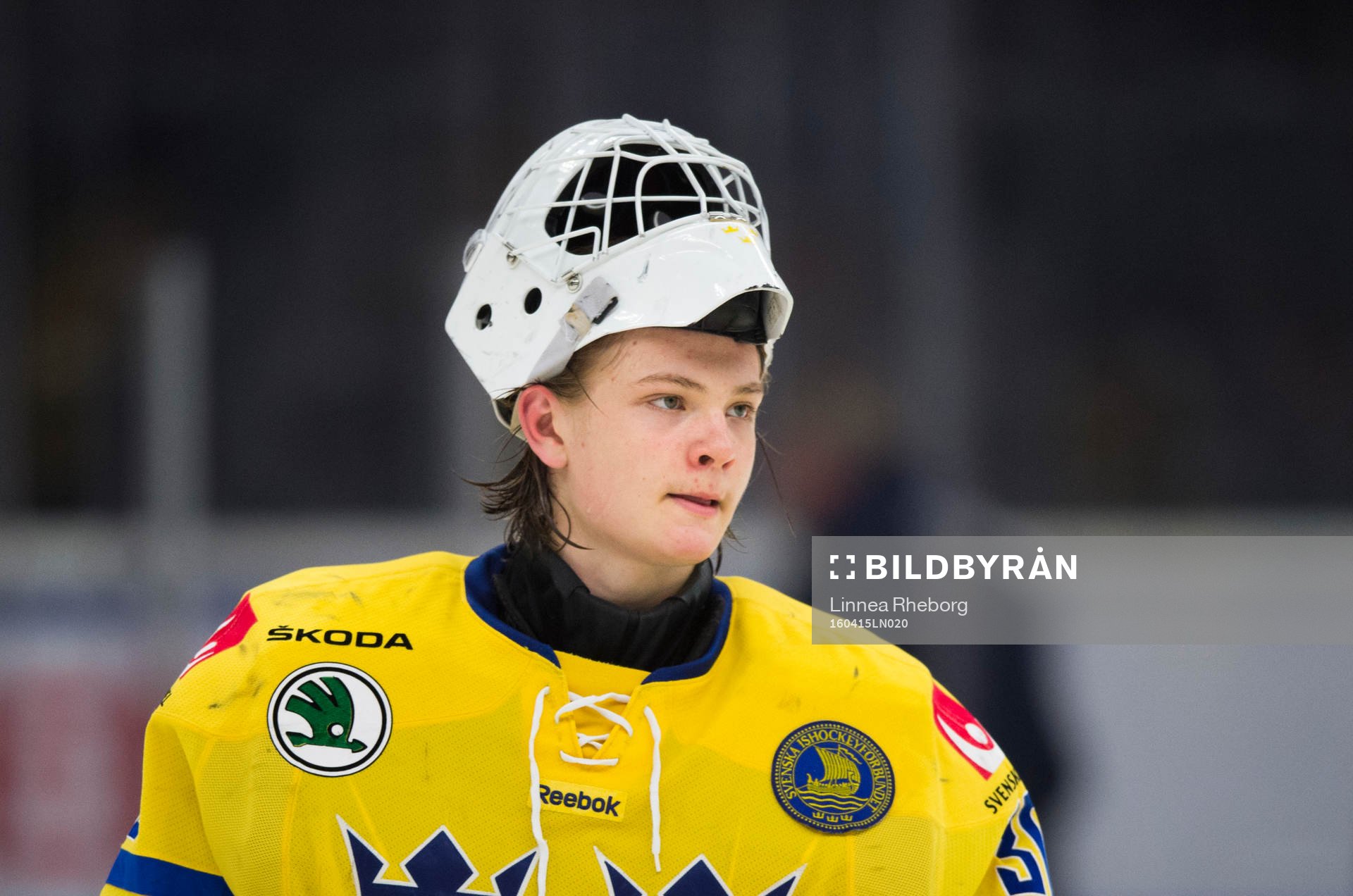 Sveriges målvakt Arvid Söderblom