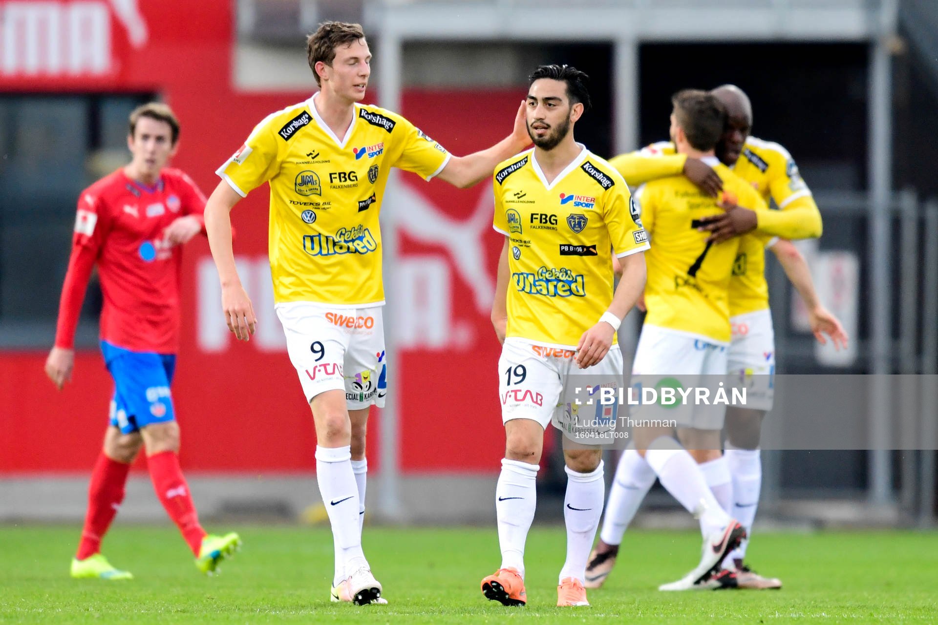 Falkenbergs David Svensson jublar efter 0-1 under fotbollsmatchen i Allsvenskan mellan Helsingborg och Falkenberg den 16 april 2016 i Helsingborg.