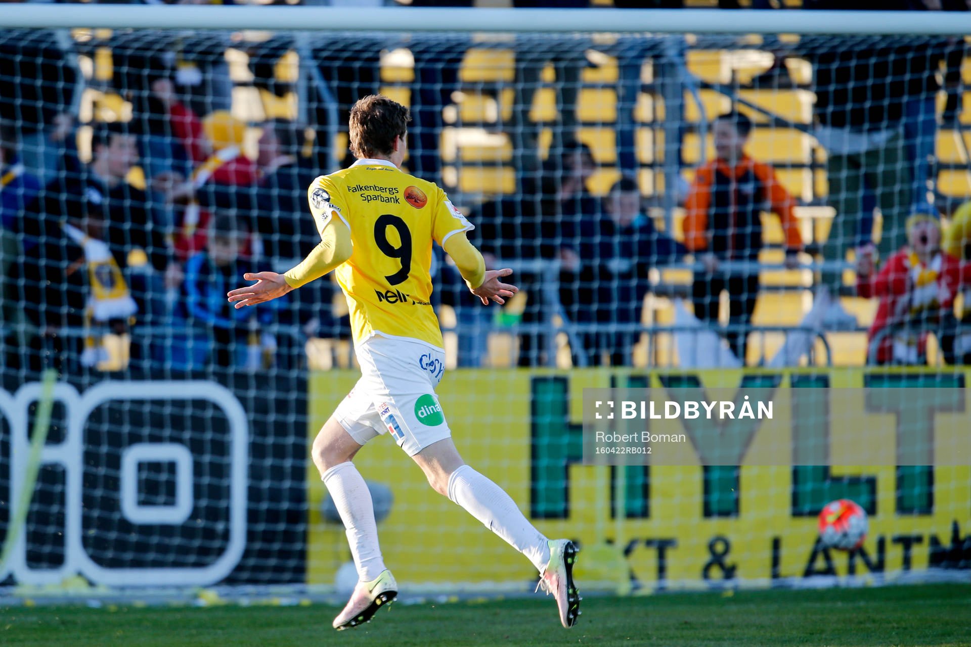 Falkenbergs Gustaf Nilsson jublar efter 1-0 under fotbollsmatchen i Allsvenskan mellan Falkenberg och Norrköping den 22 april 2016 i Falkenberg