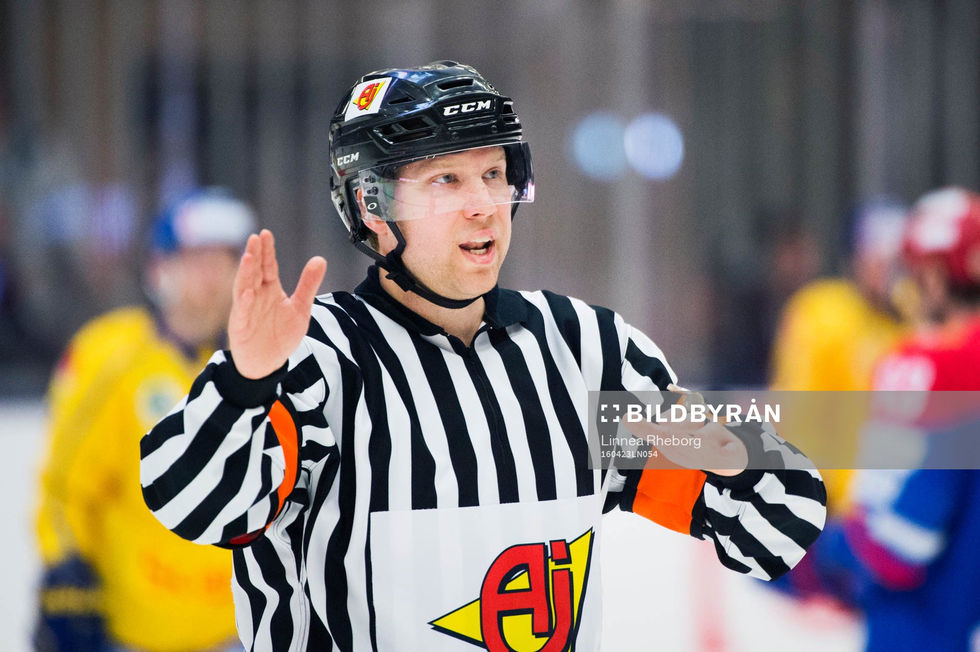 Domare Aleksi Rantala