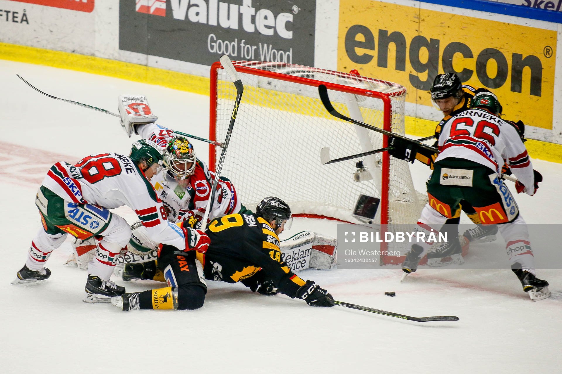 Skellefteås Andrew Calof