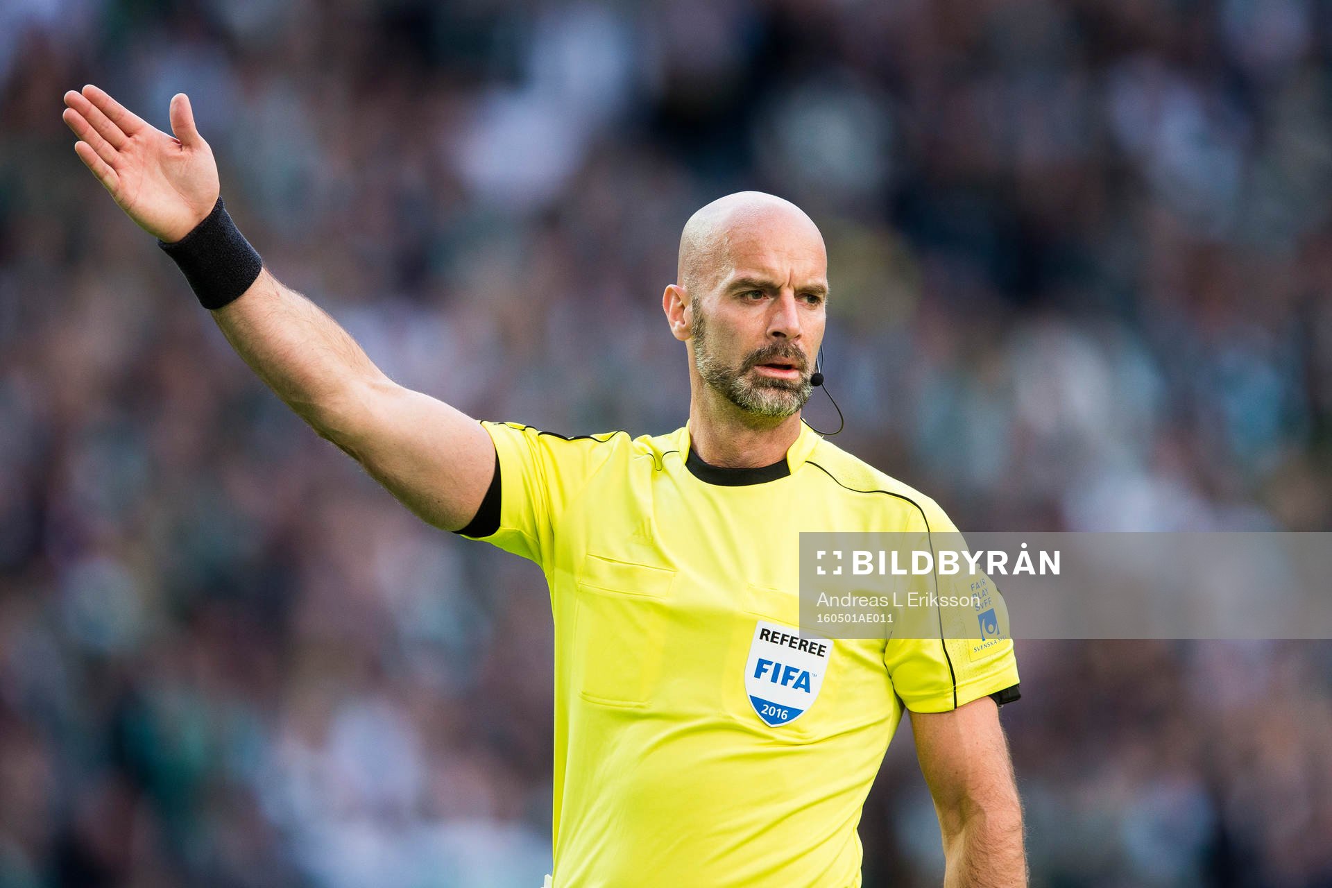 Domare Stefan Johannesson