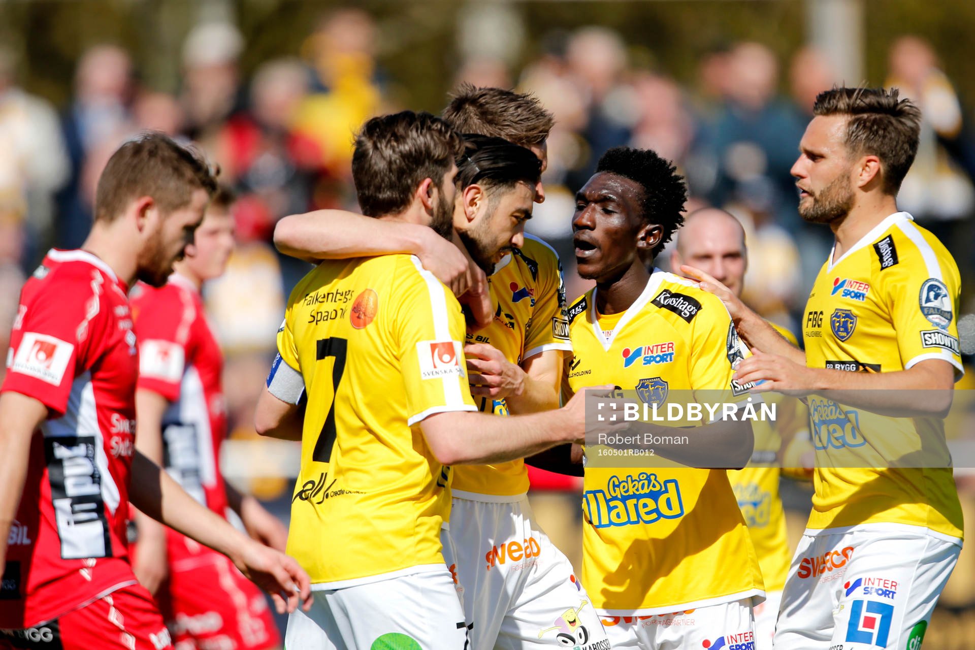 Falkenbergs Amin Nazari jublar efter 1-1 under fotbollsmatchen i Allsvenskan mellan Falkenberg och Elfsborg den 1 maj 2016 i Falkenberg