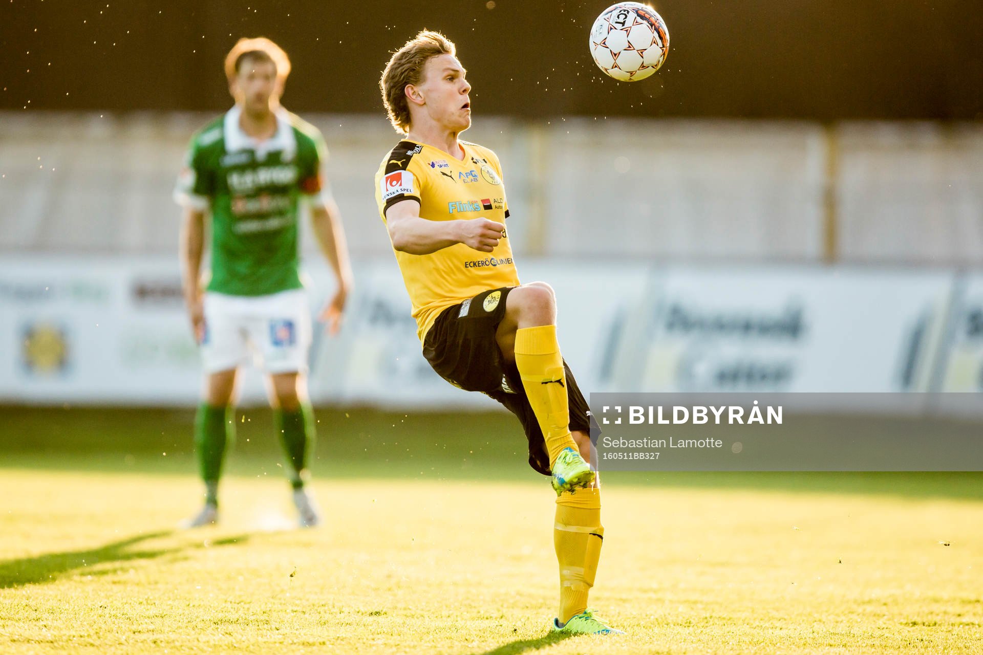 Frejs Lukas Sunesson