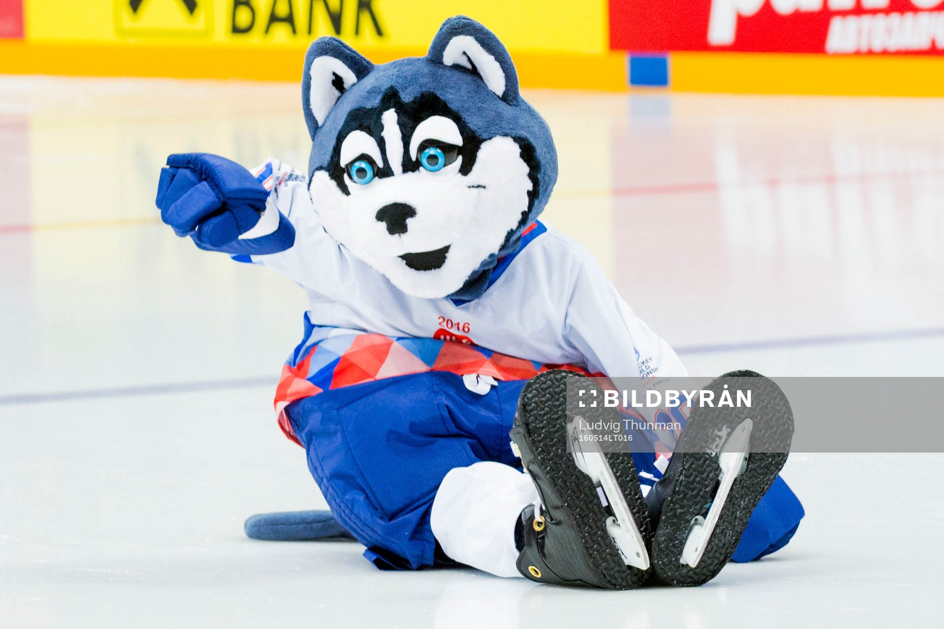 Ishockey-VMs officiella maskot Laika