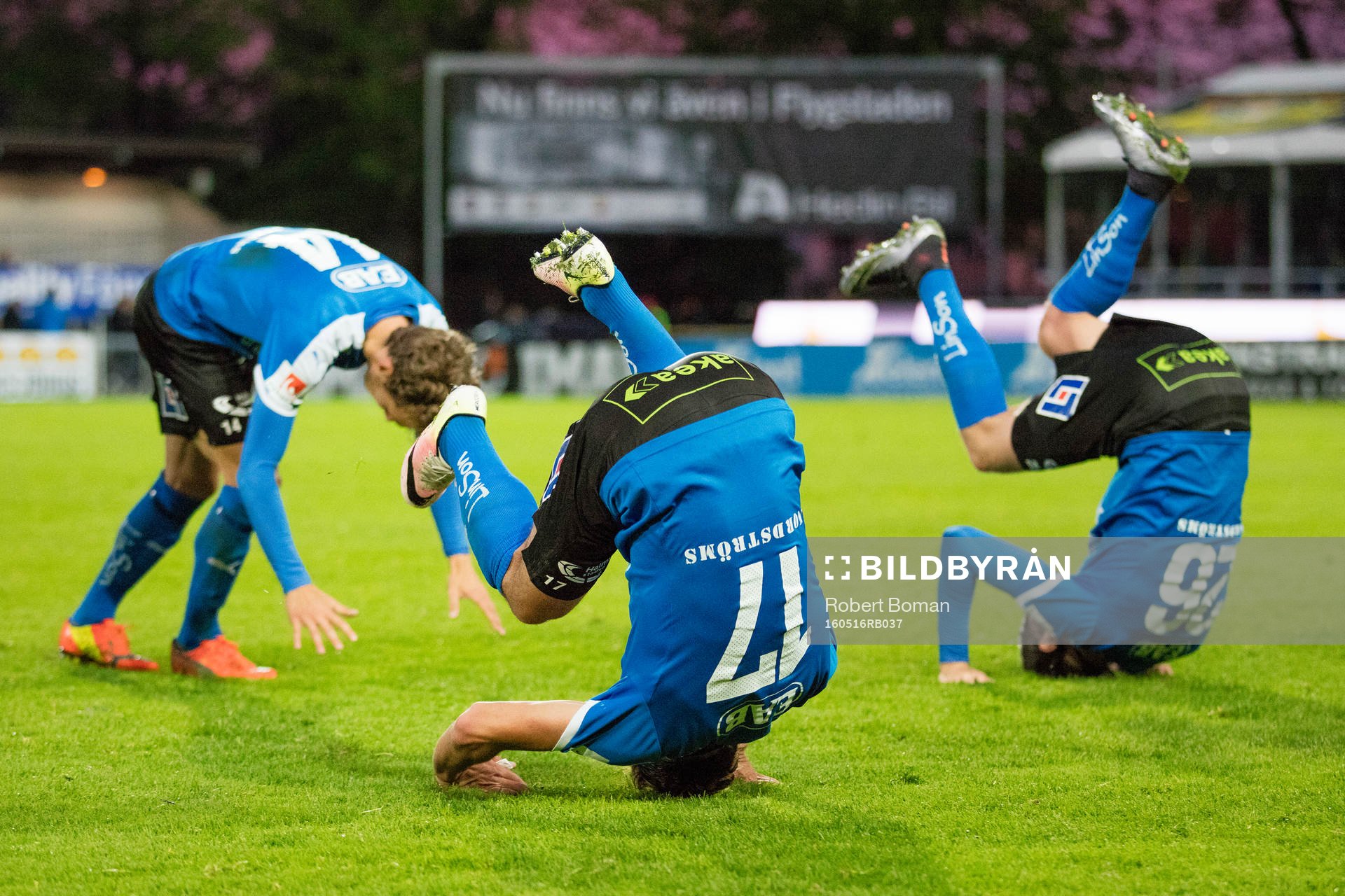 Halmstads Alexander Henningsson och Sead Haksabanovic och Alexander Berntsson jublar efter fotbollsmatchen i Superettan mellan Halmstad och Ljungskile den 16 Maj 2016 i Halmstad.