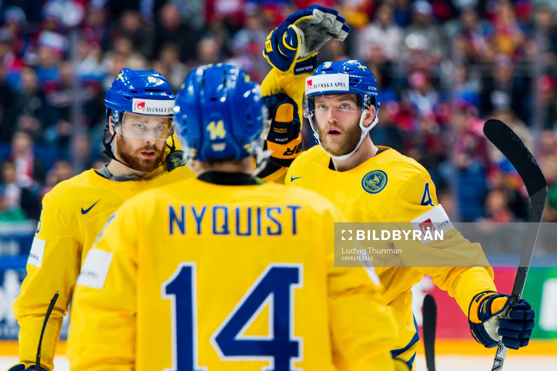Sveriges Mattias Ekholm jublar