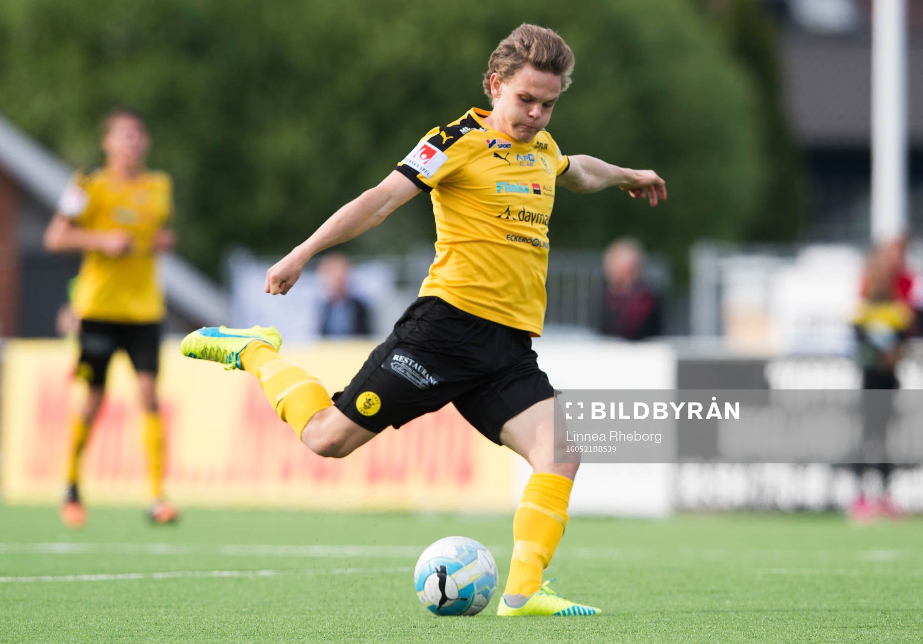 Frejs Lukas Sunesson