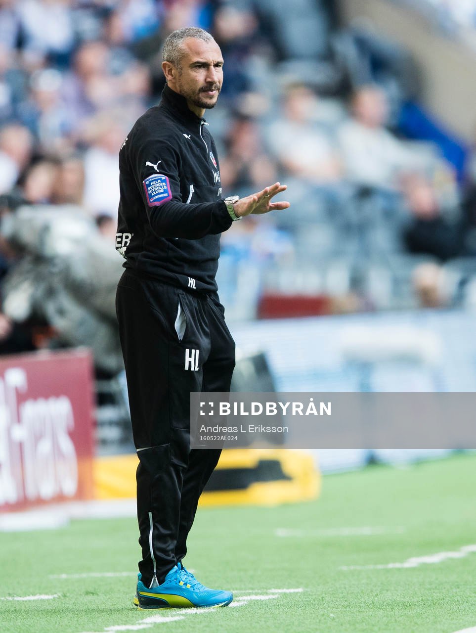 Helsingborgs manager Henrik Larsson