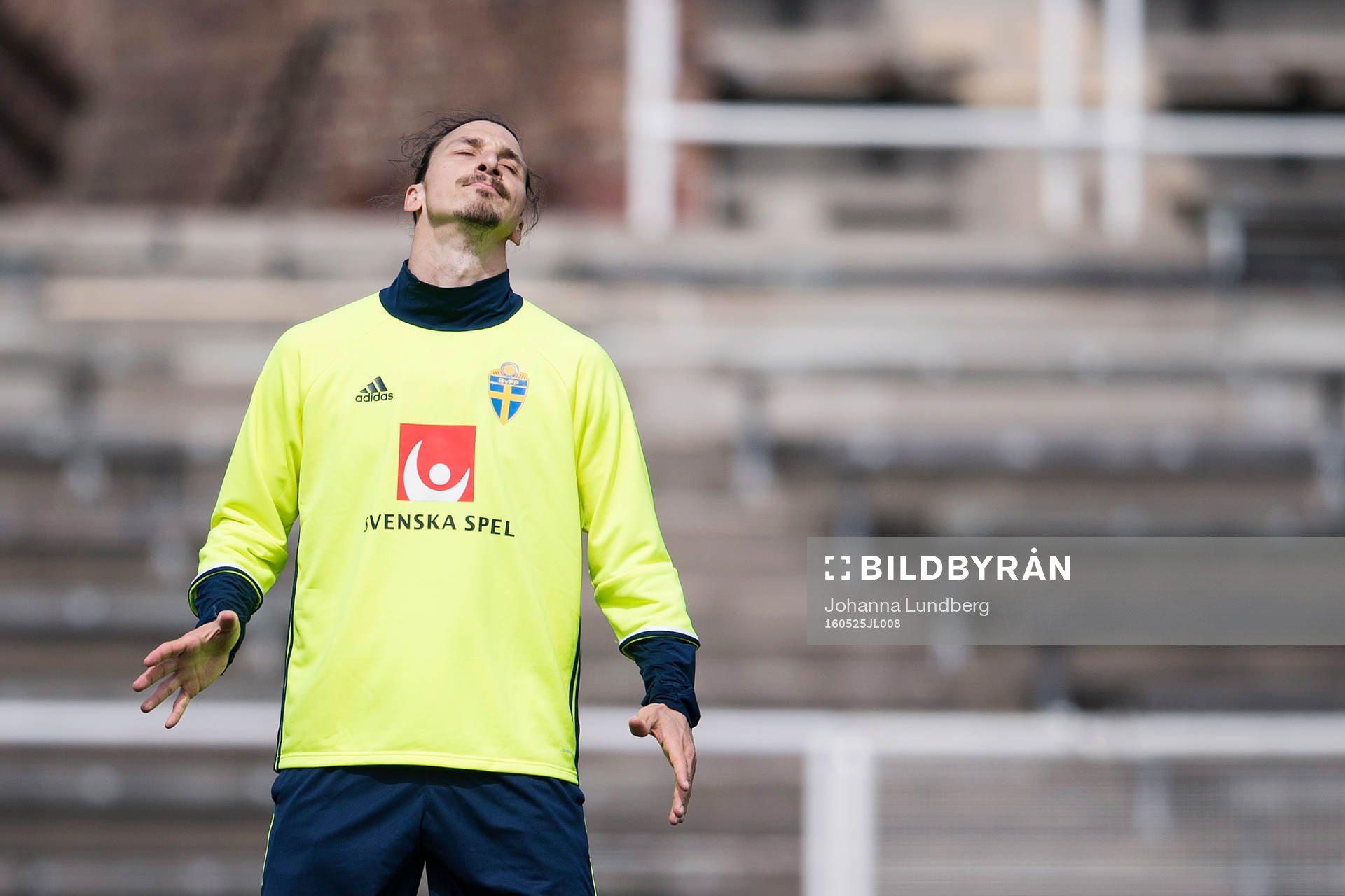 Zlatan Ibrahimovic reagerar