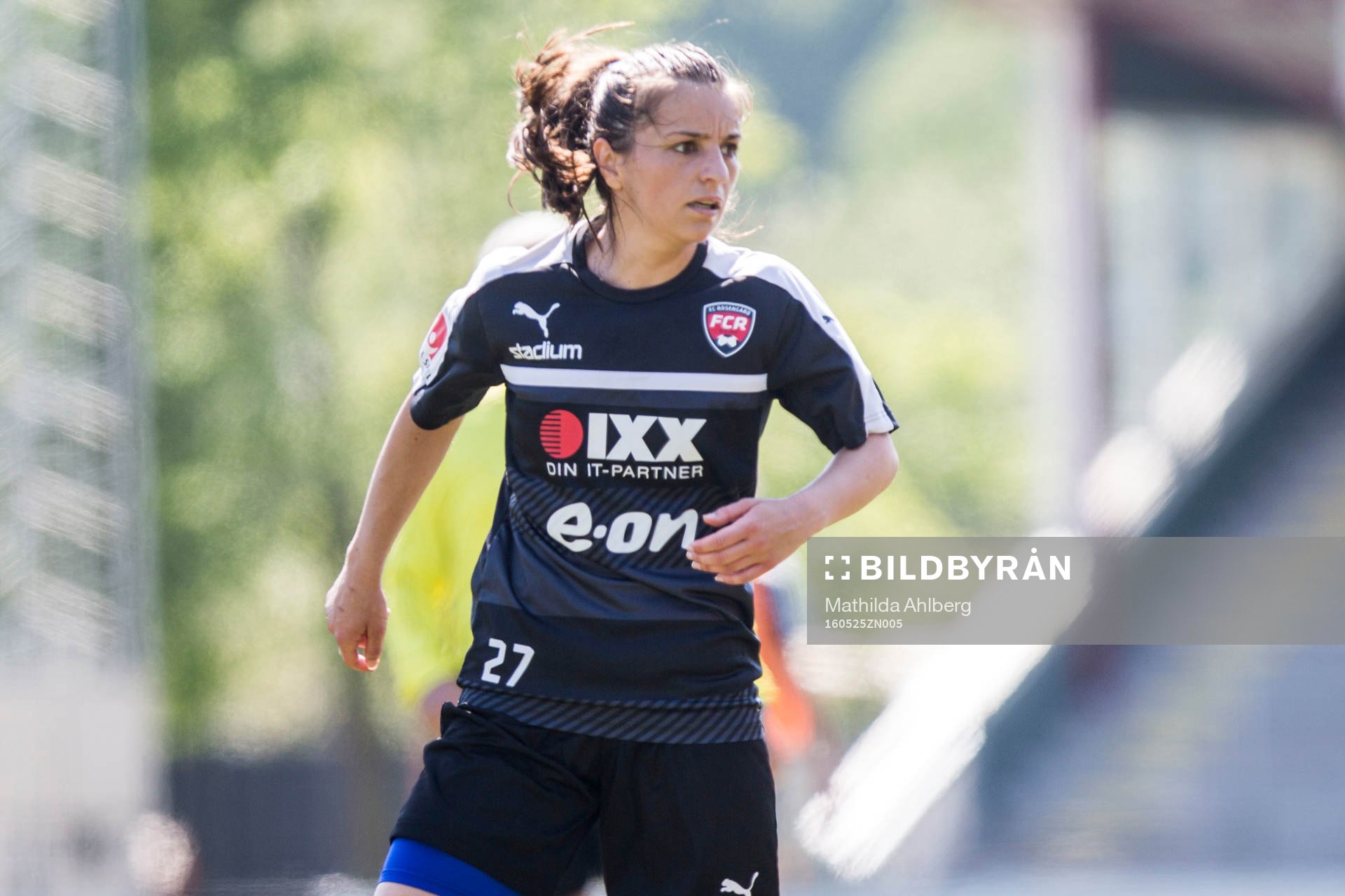 Iva Landeka