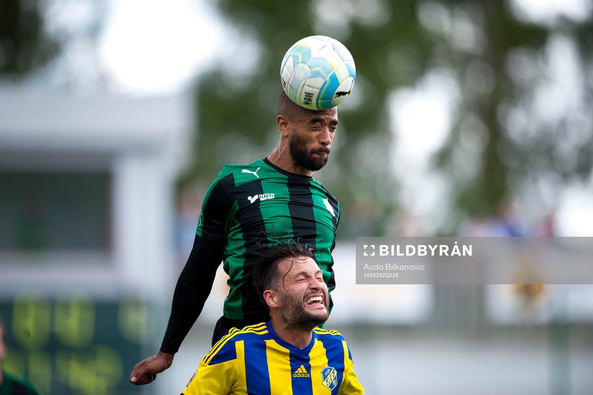 Högaborgs Kamal Barny nickar