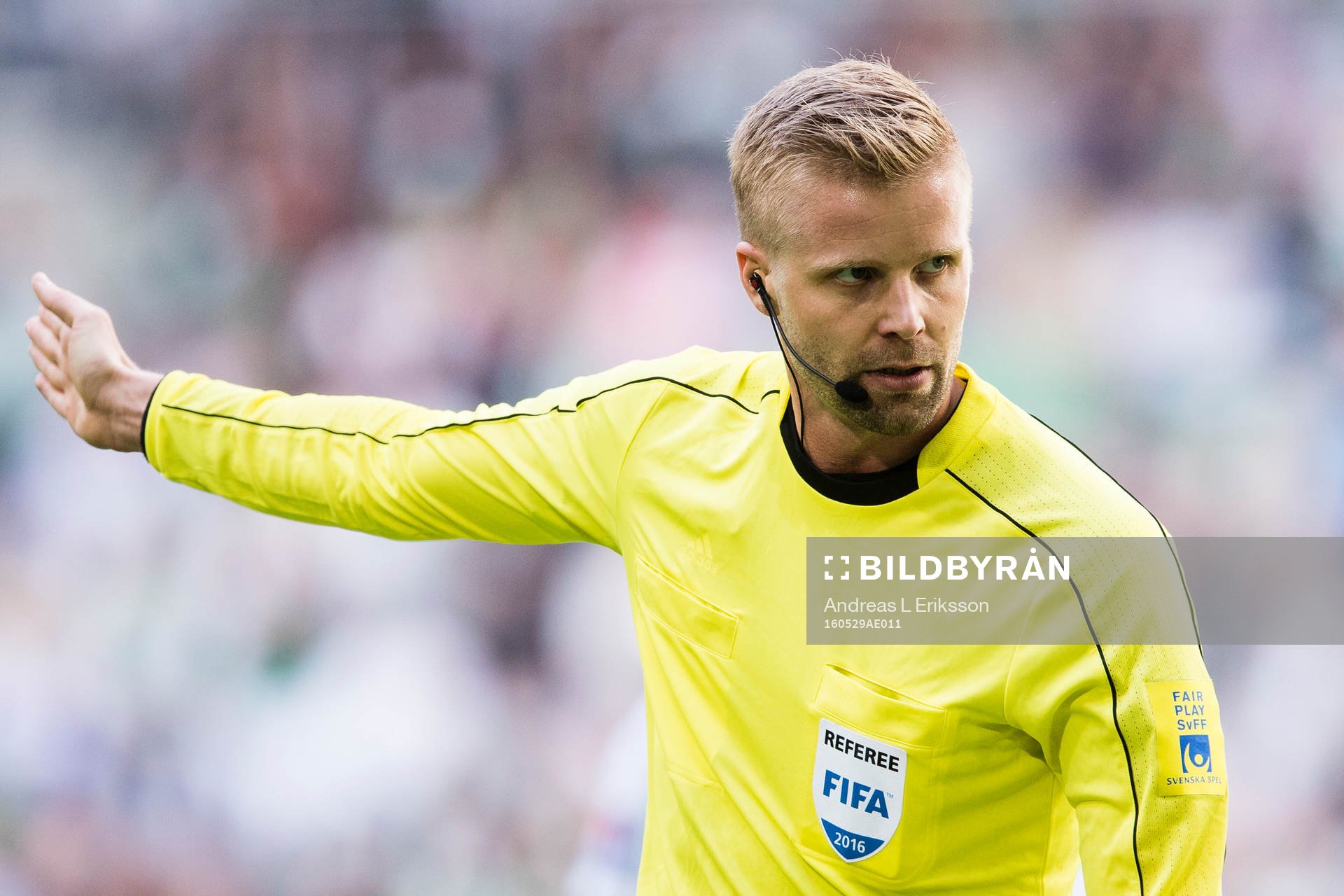 Domare Glenn Nyberg