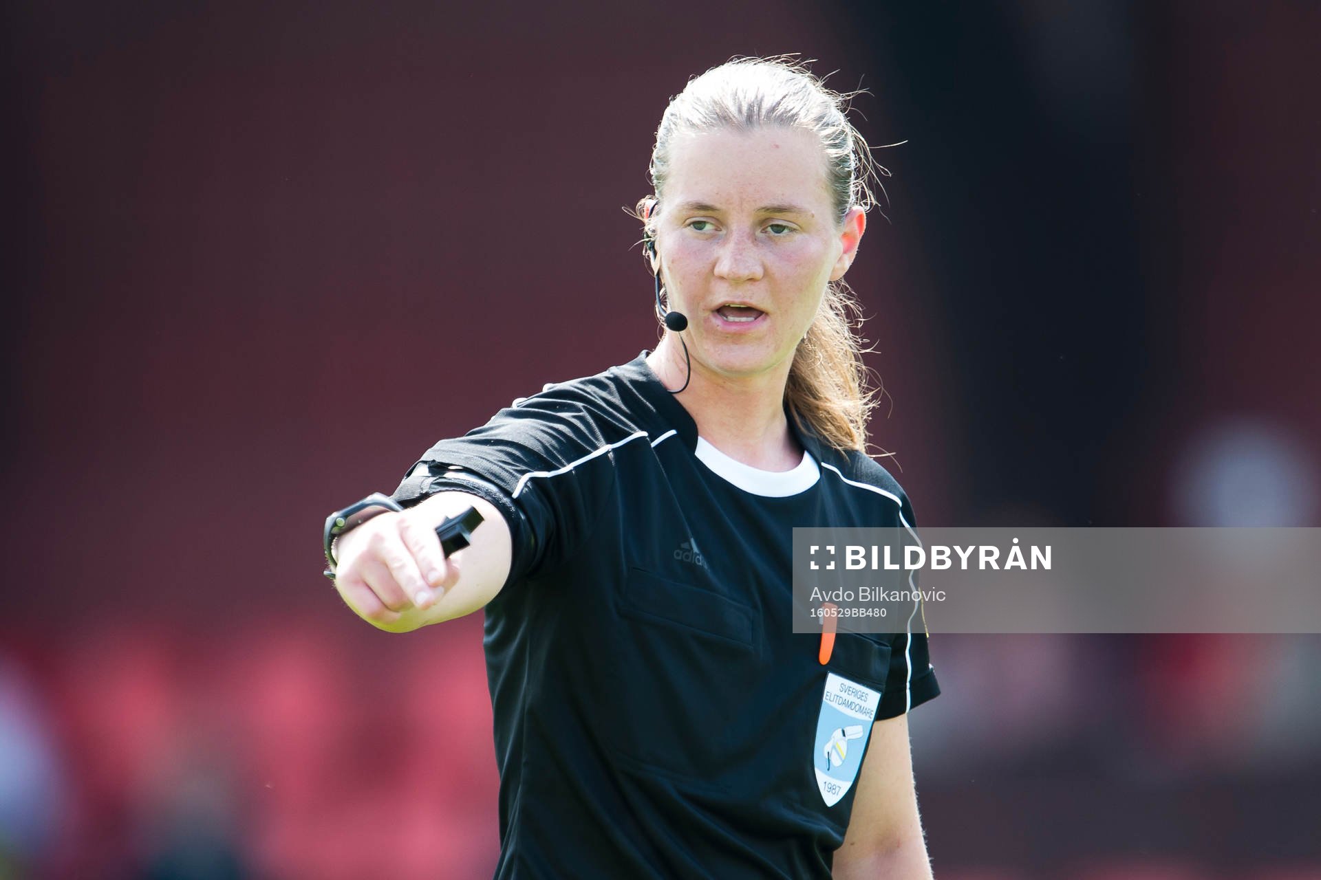 Domare Lovisa Johansson