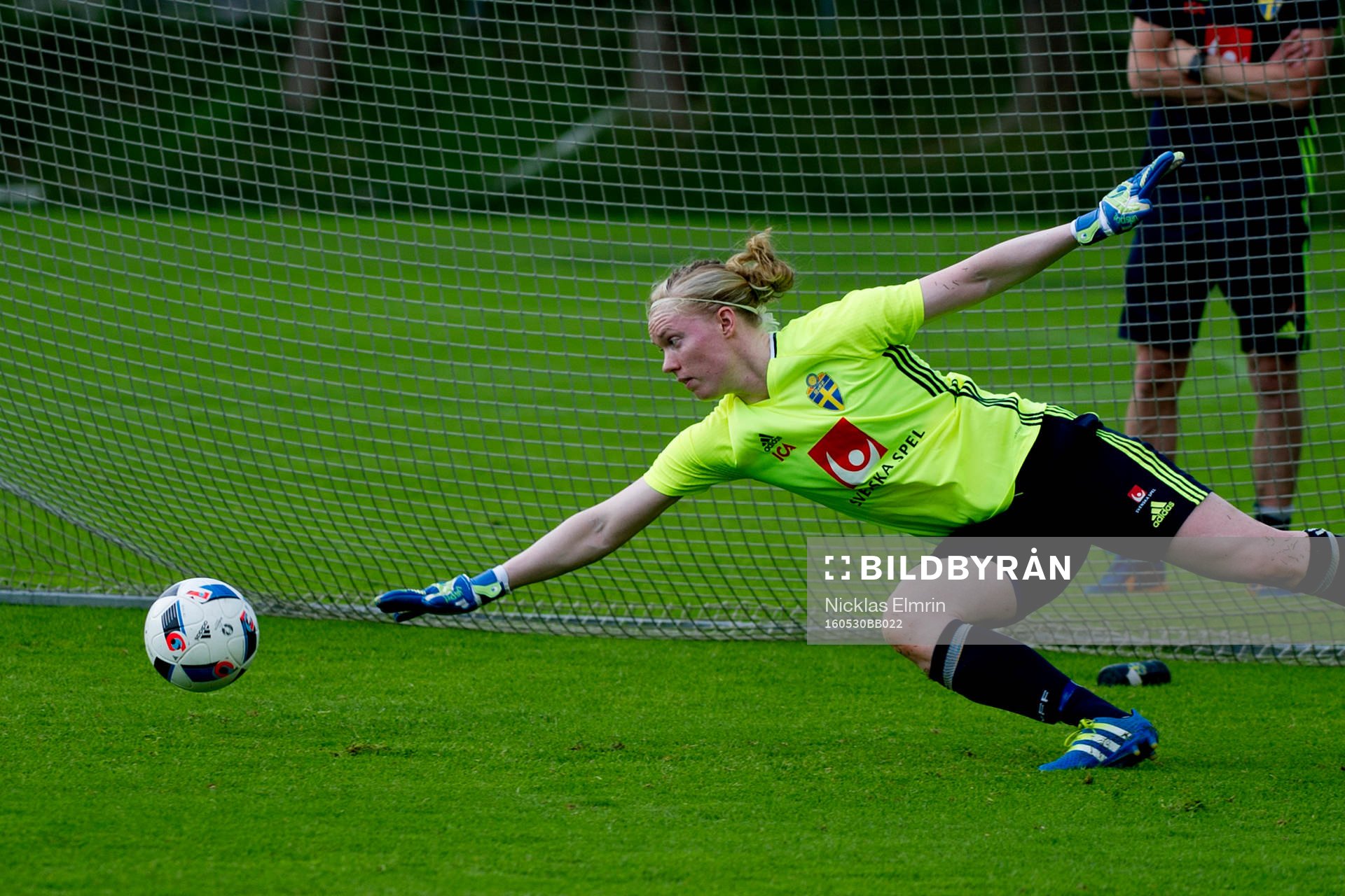 Hedvig Lindahl