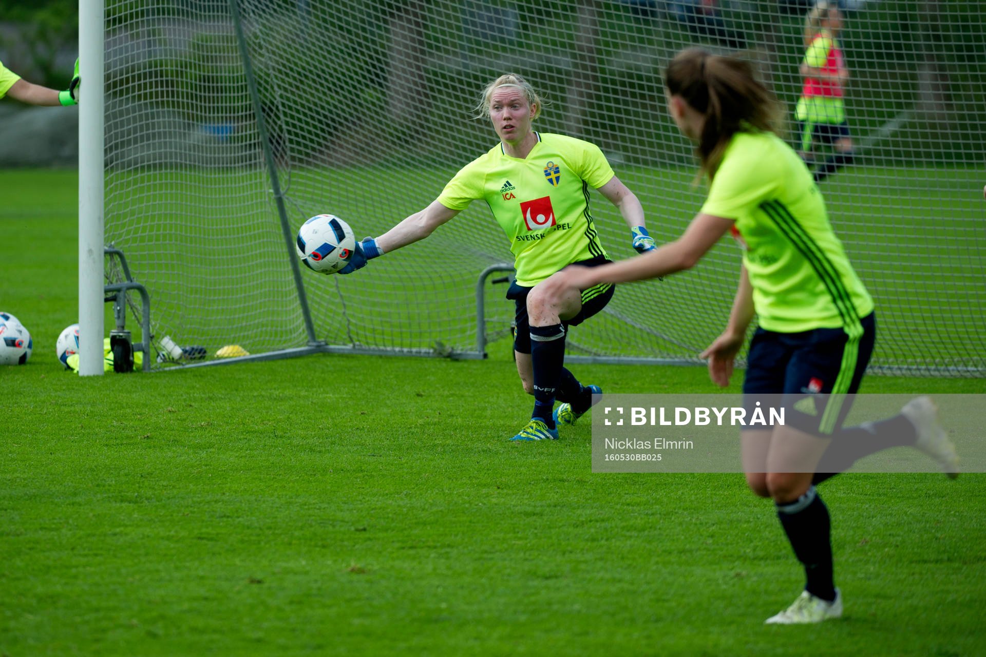 Hedvig Lindahl