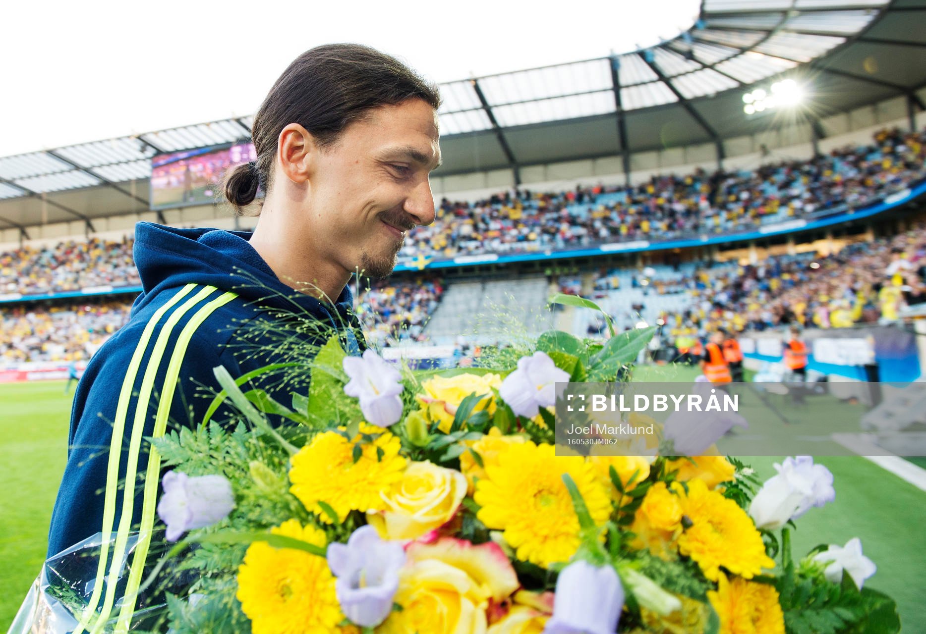 Sveriges Zlatan Ibrahimovic lämnar planen