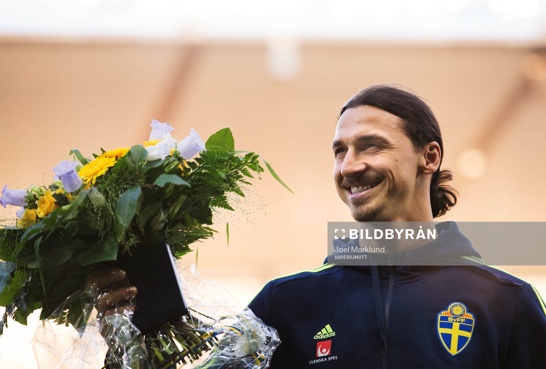 Sveriges Zlatan Ibrahimovic hyllas av publiken i