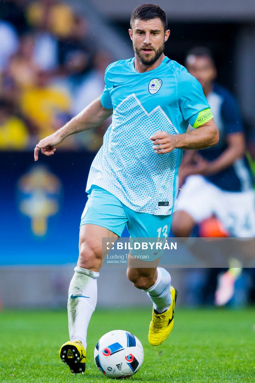 Sloveniens Bojan Jokic