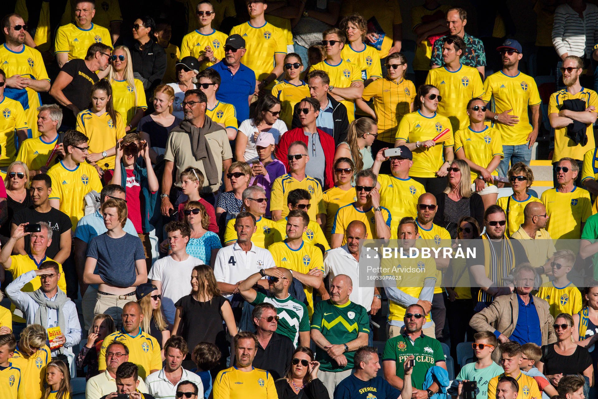 Sveriges supportrar på läktaren