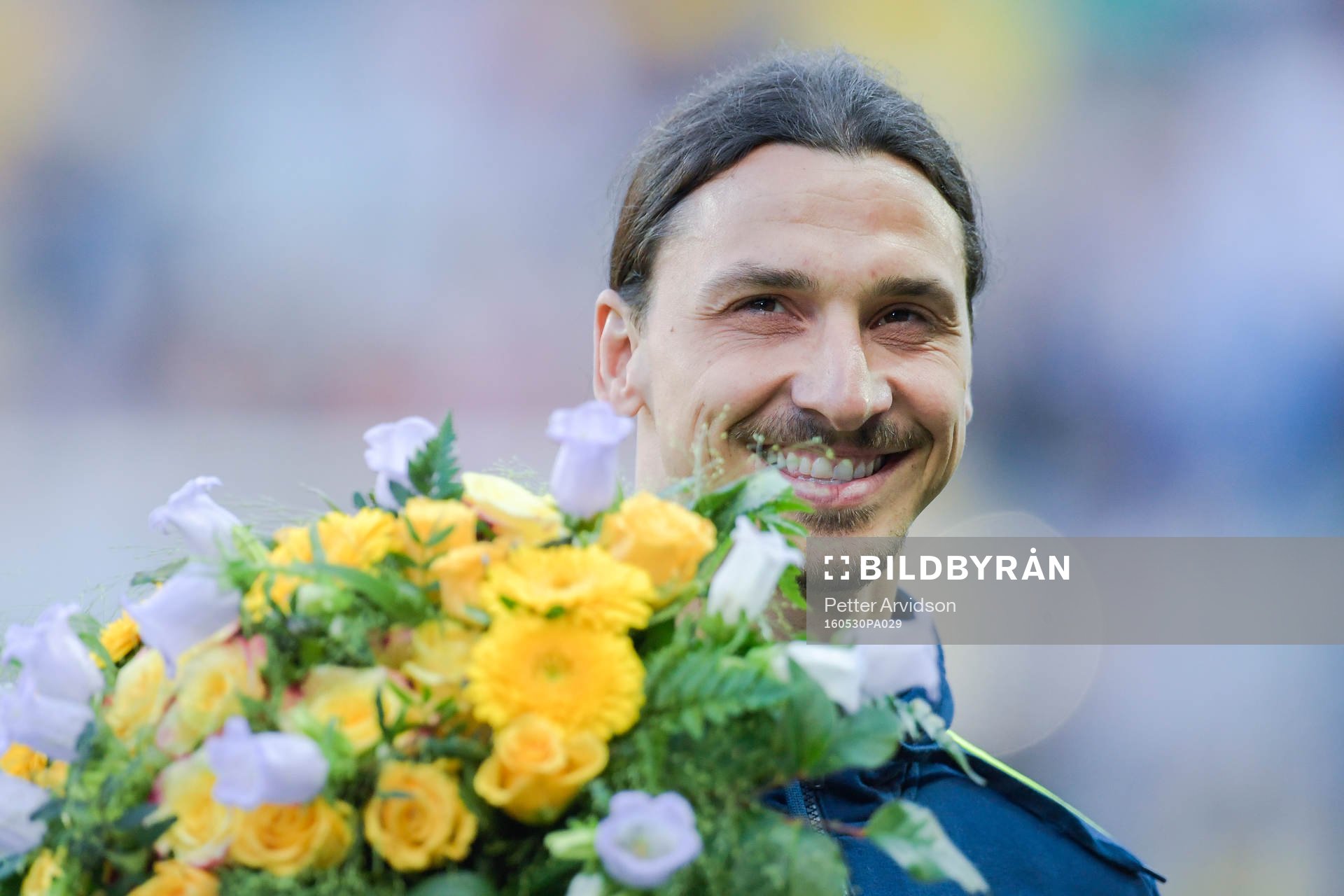 Sveriges Zlatan Ibrahimovic hyllas av publiken