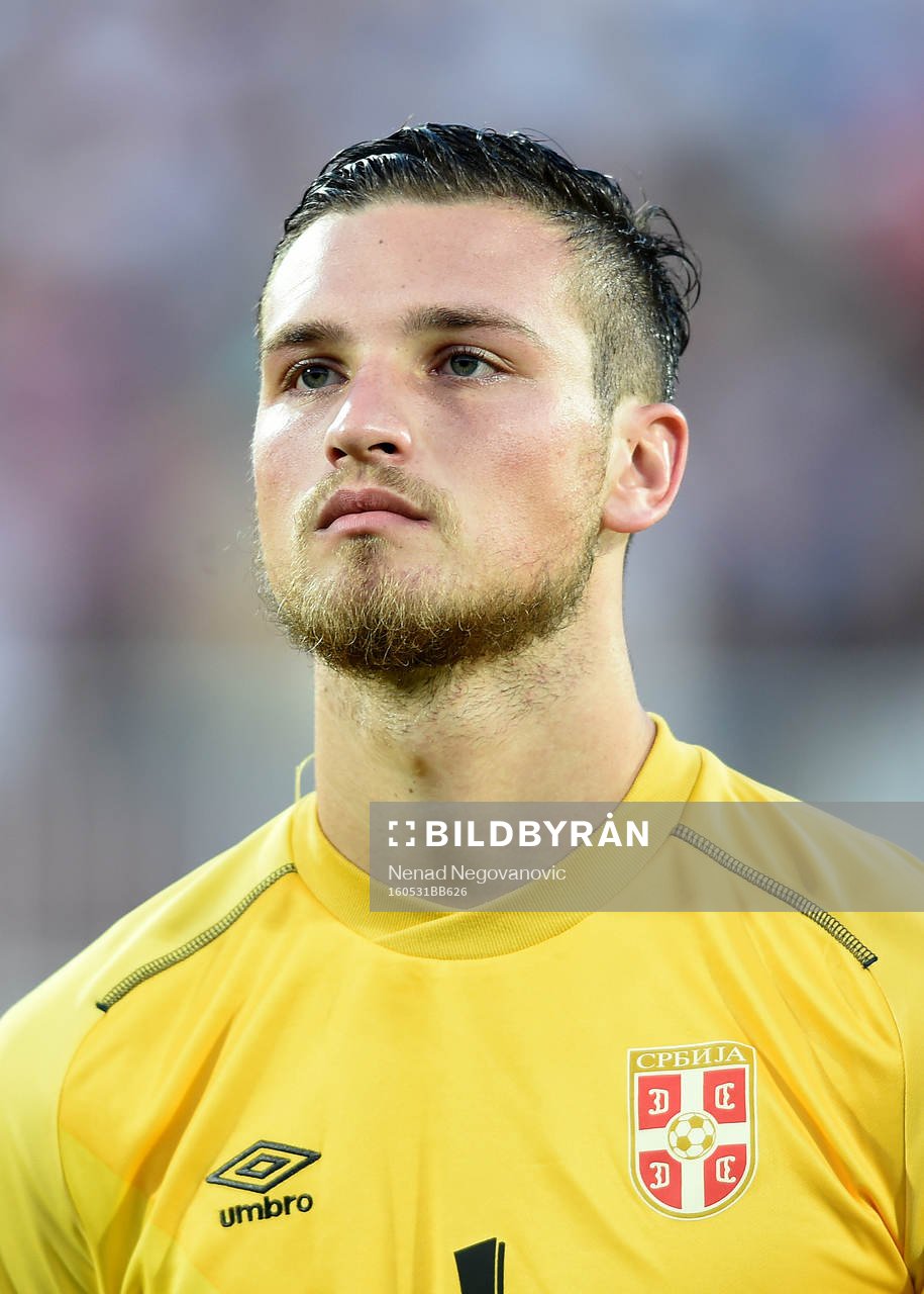 Predrag Rajkovic, Serbien