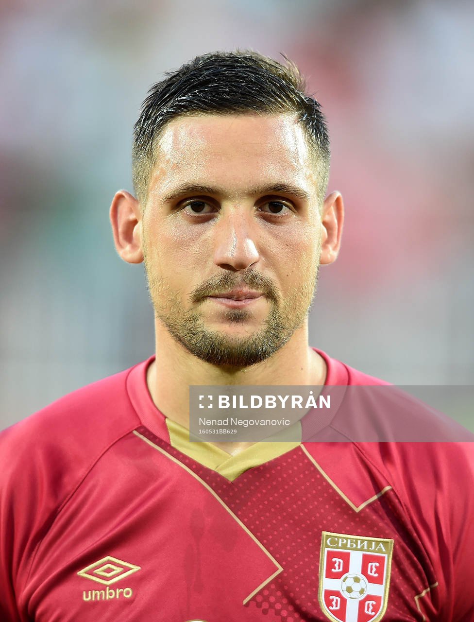 Nikola Stojiljkovic, Serbien