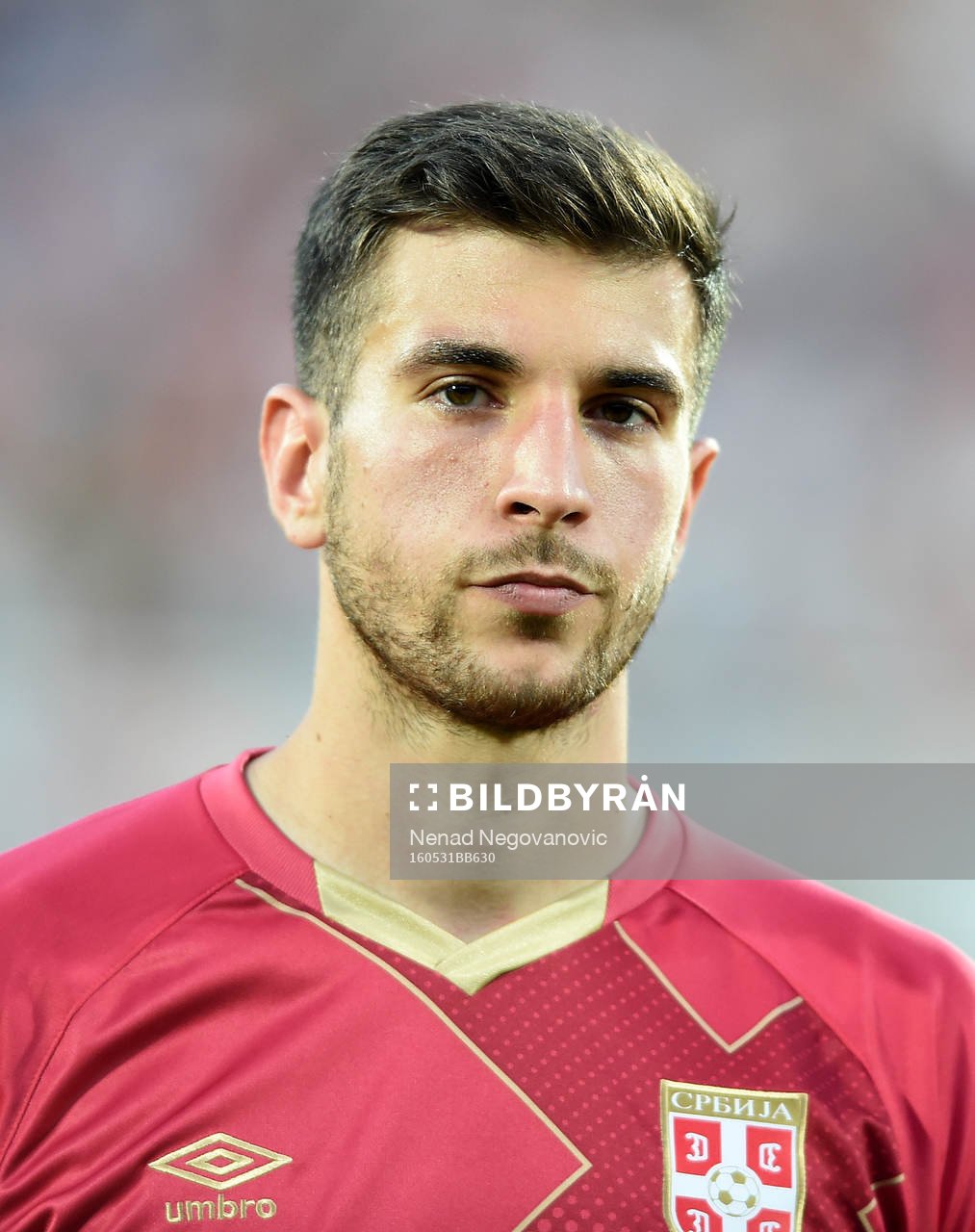 Andrija Pavlovic, Serbien