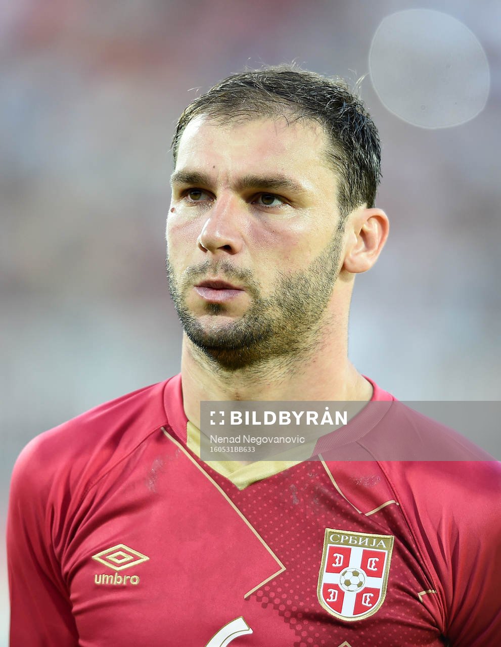 Branislav Ivanovic, Serbien