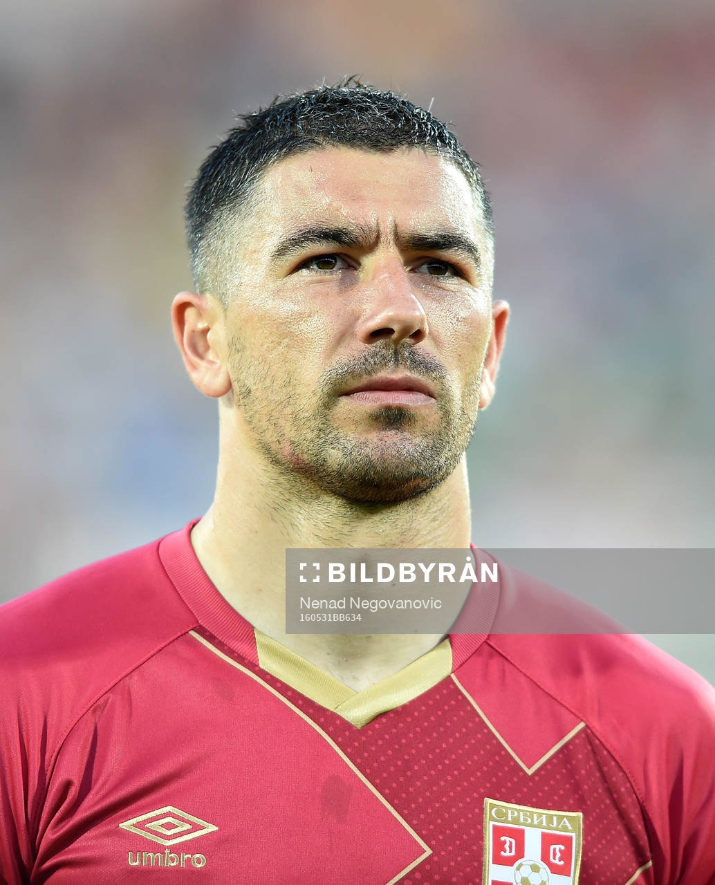 Aleksandar Kolarov, Serbien