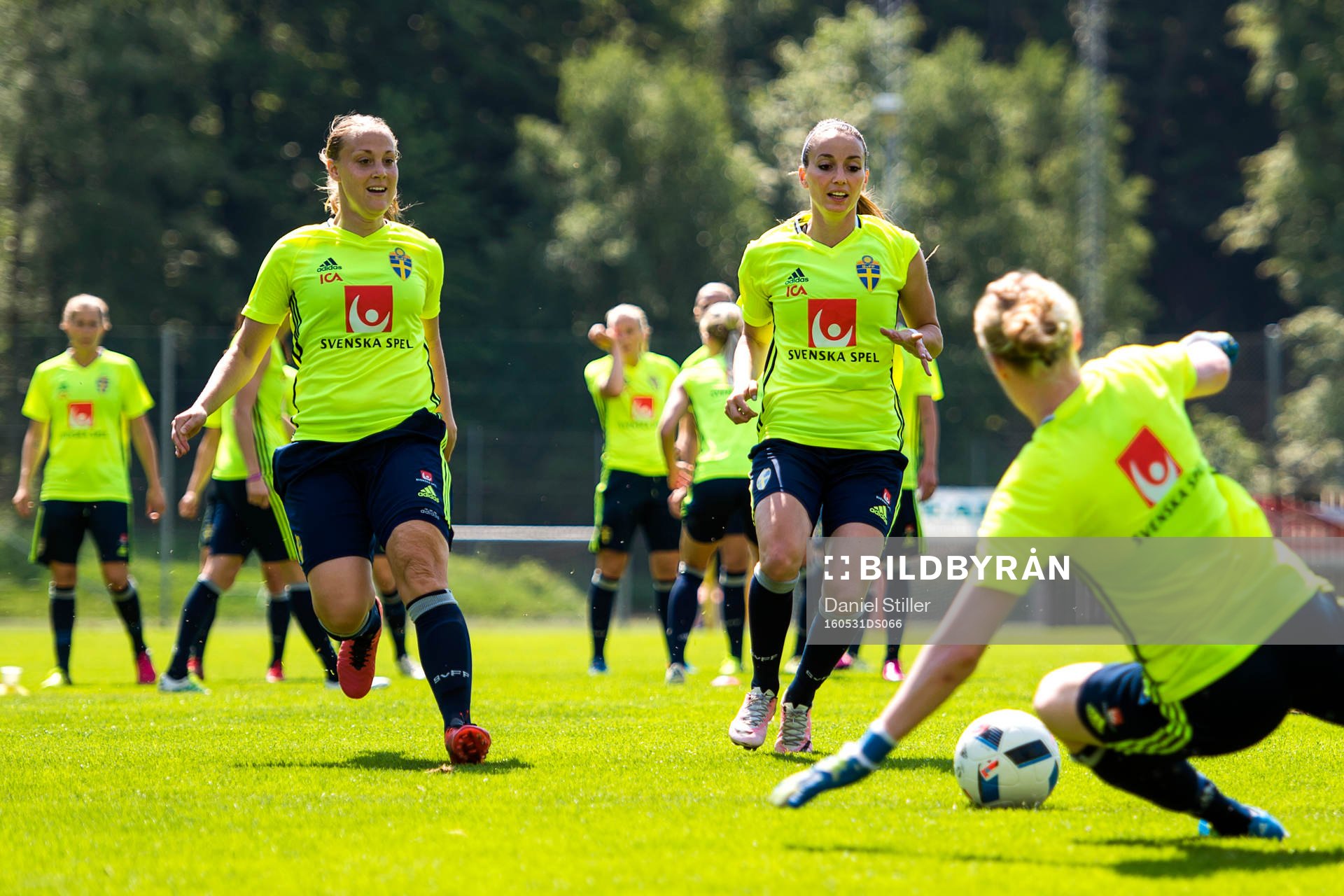 Freja Hellenberg och Kosovare Asllani