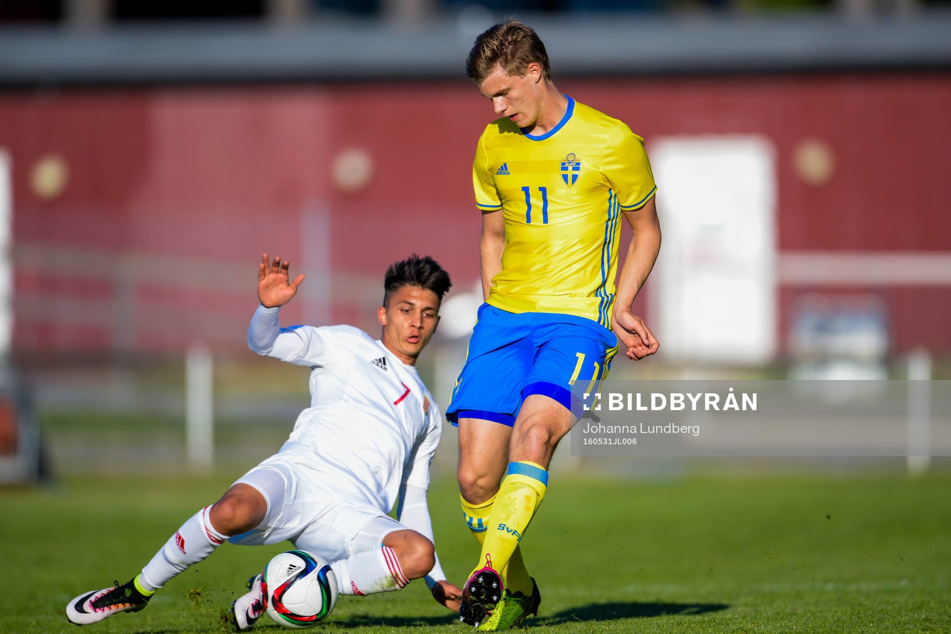 Ungerns Kovács David och Sveriges Svante Ingelsson
