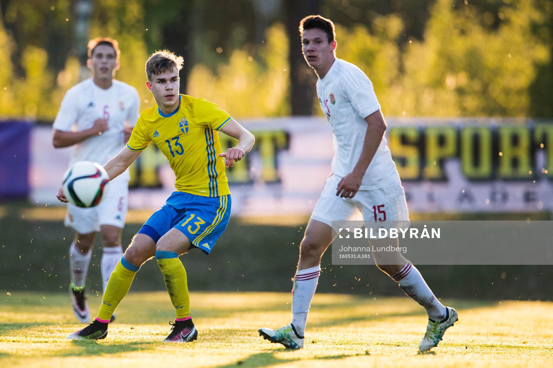 Sveriges Dusan Jajic utmanar Ungerns Szabo Bence