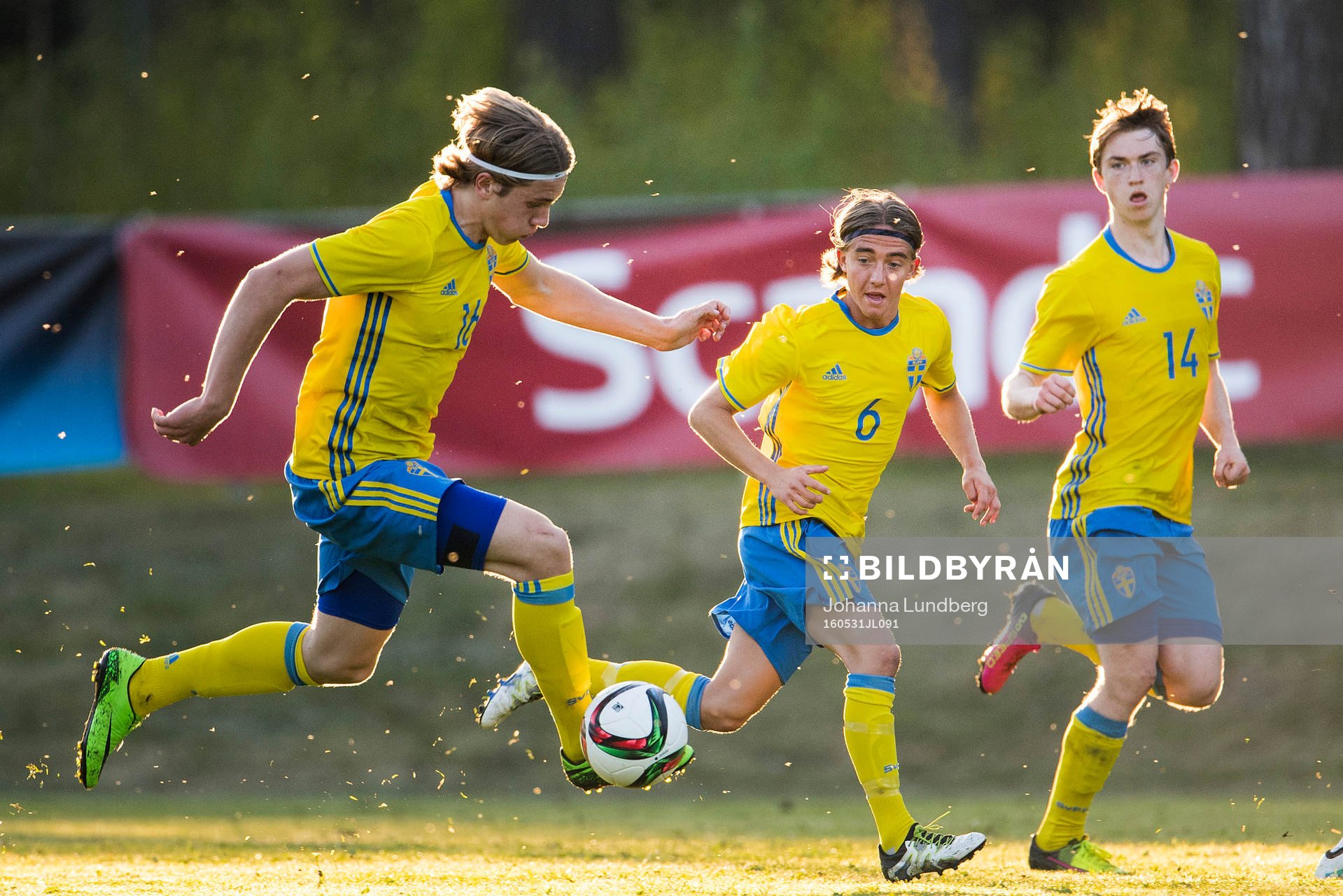 Sveriges Viktor Gyökeres, Anton Kralj och Carl Johansson