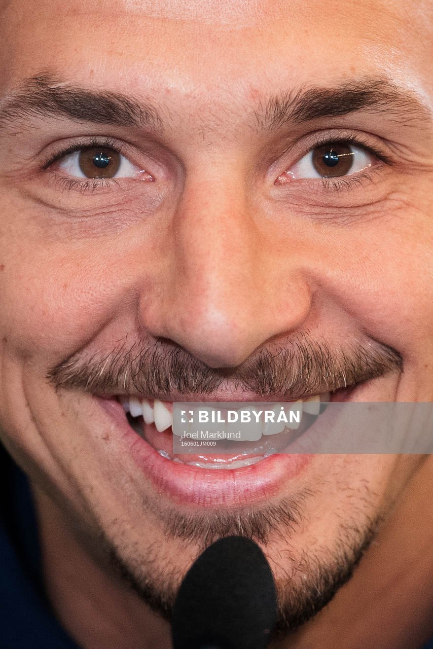 Sveriges Zlatan Ibrahimovic ler