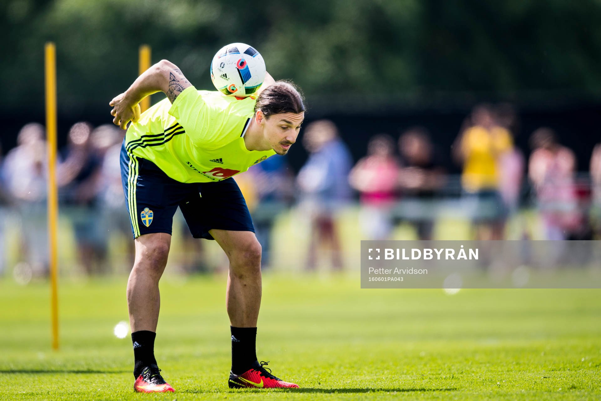 Zlatan Ibrahimovic