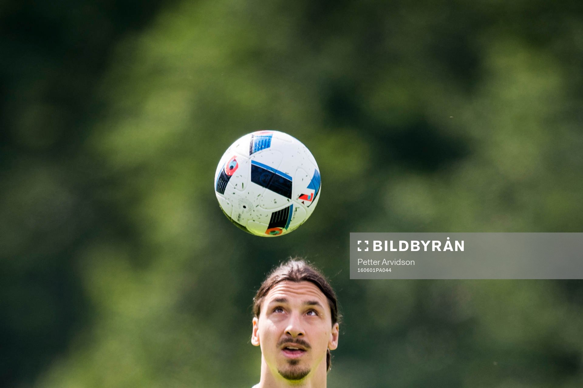 Zlatan Ibrahimovic