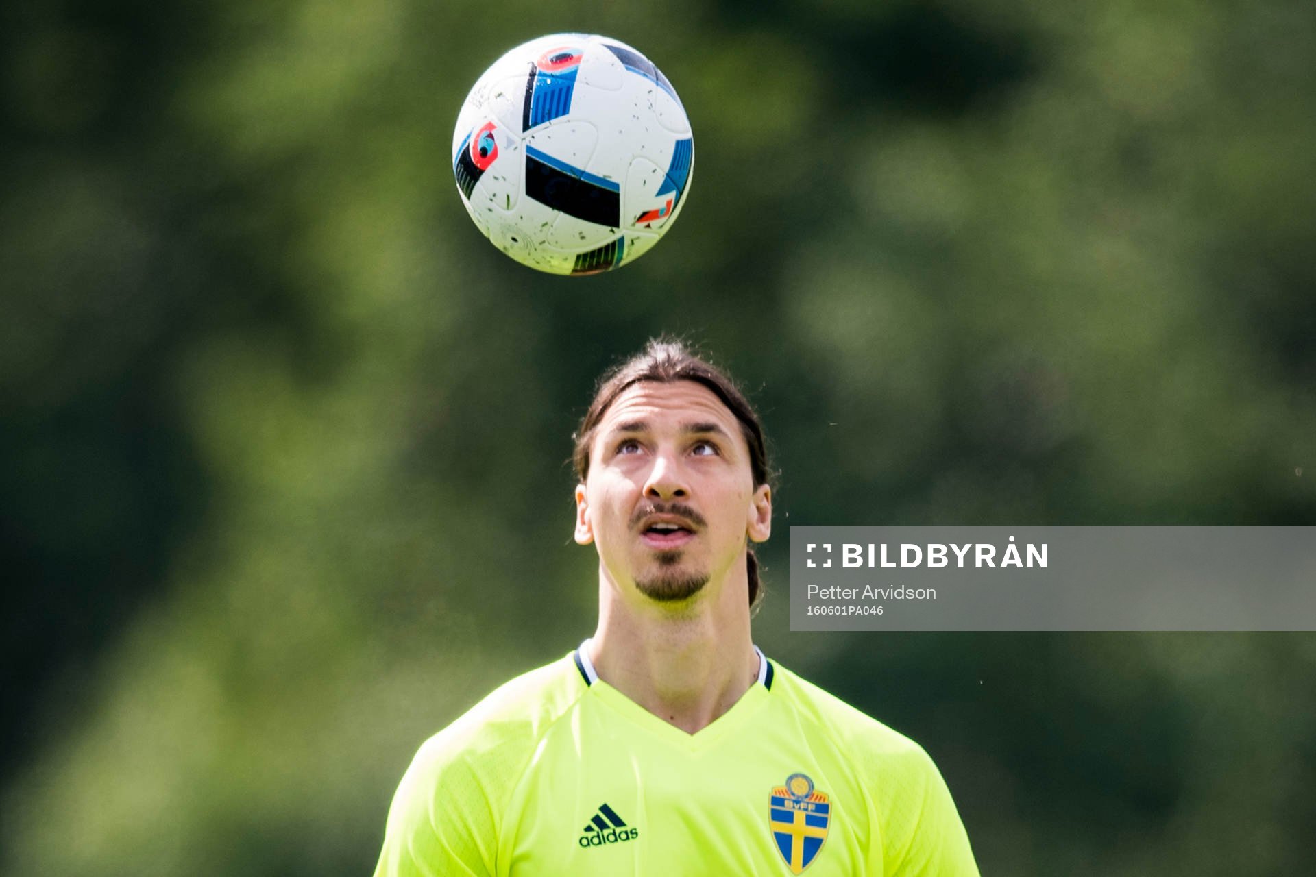 Zlatan Ibrahimovic