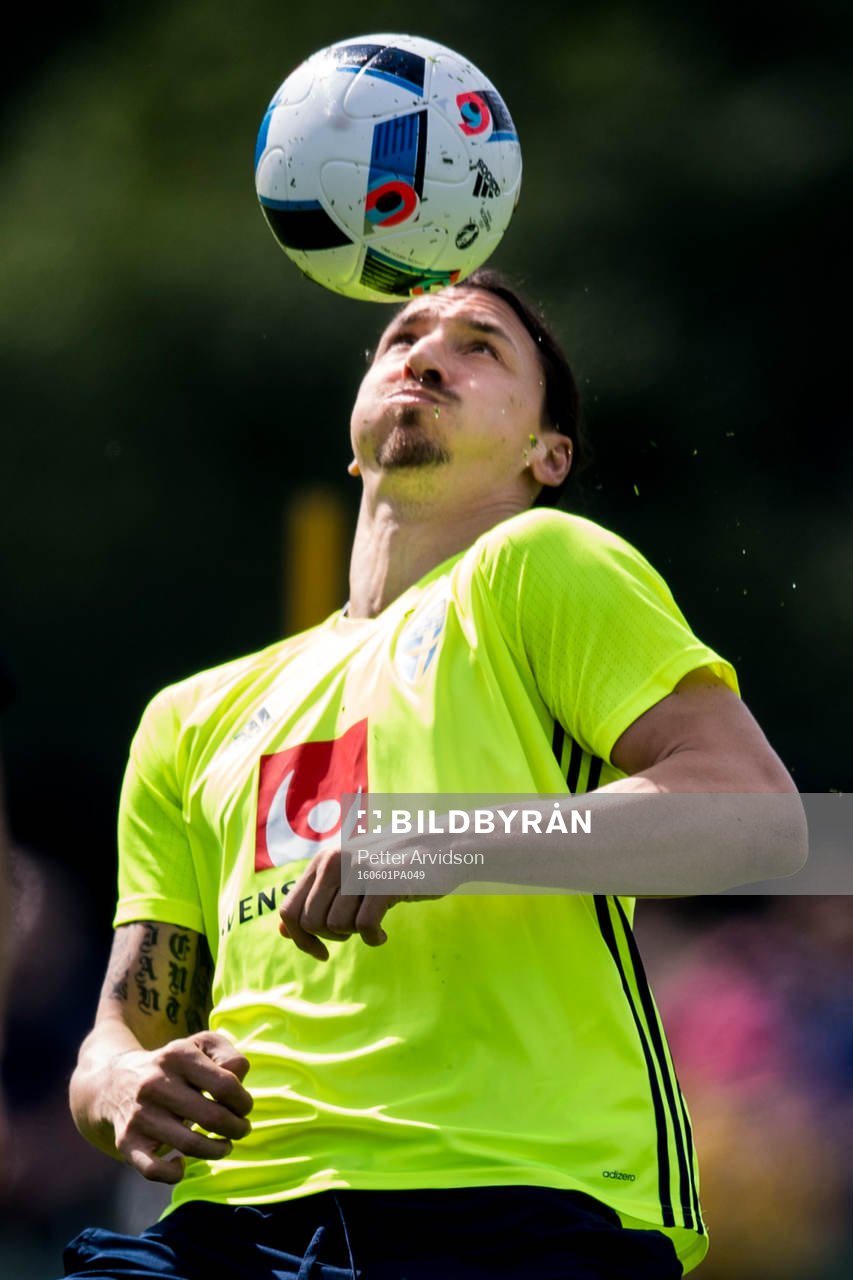 Zlatan Ibrahimovic